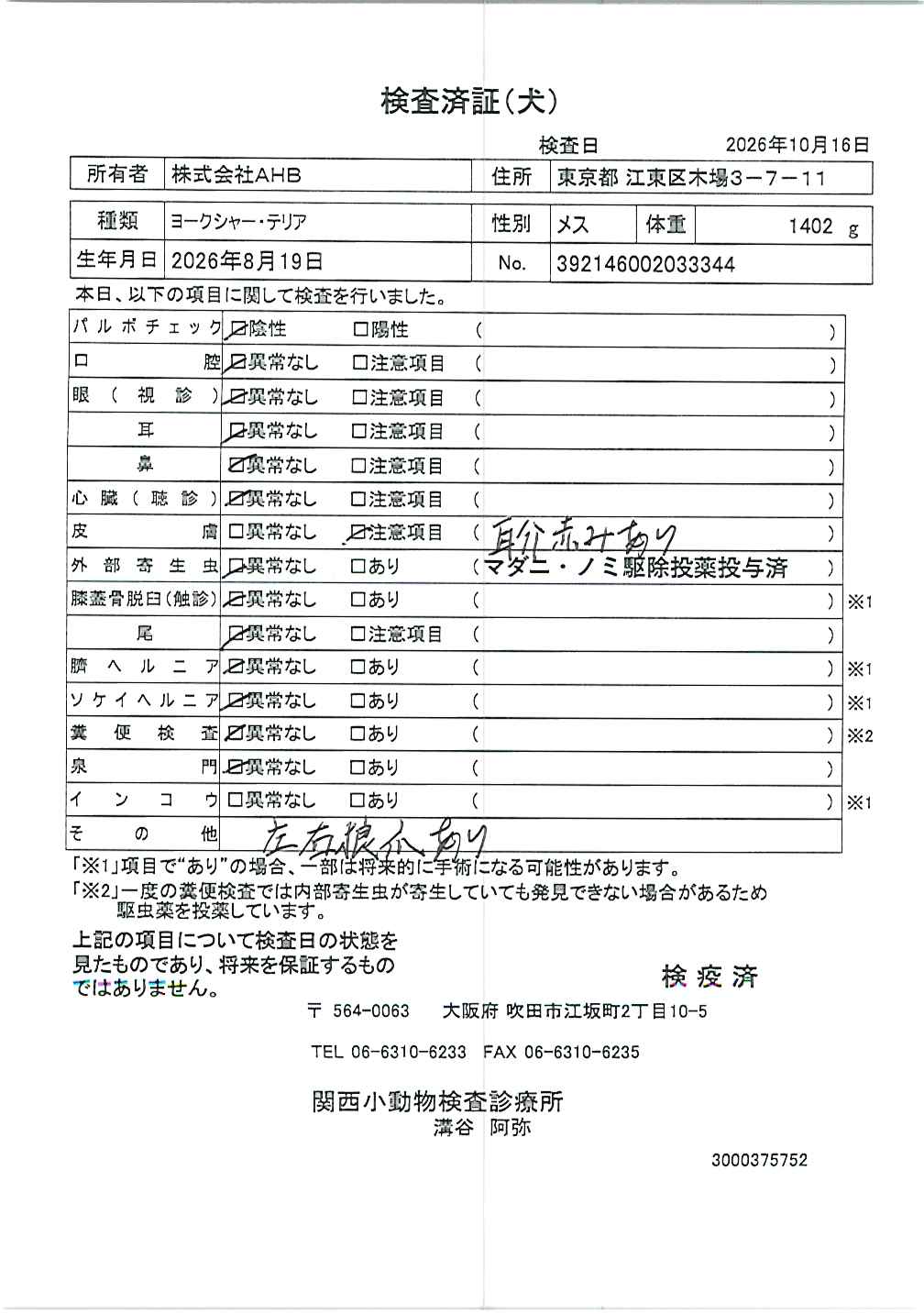 ヨークシャー・テリア