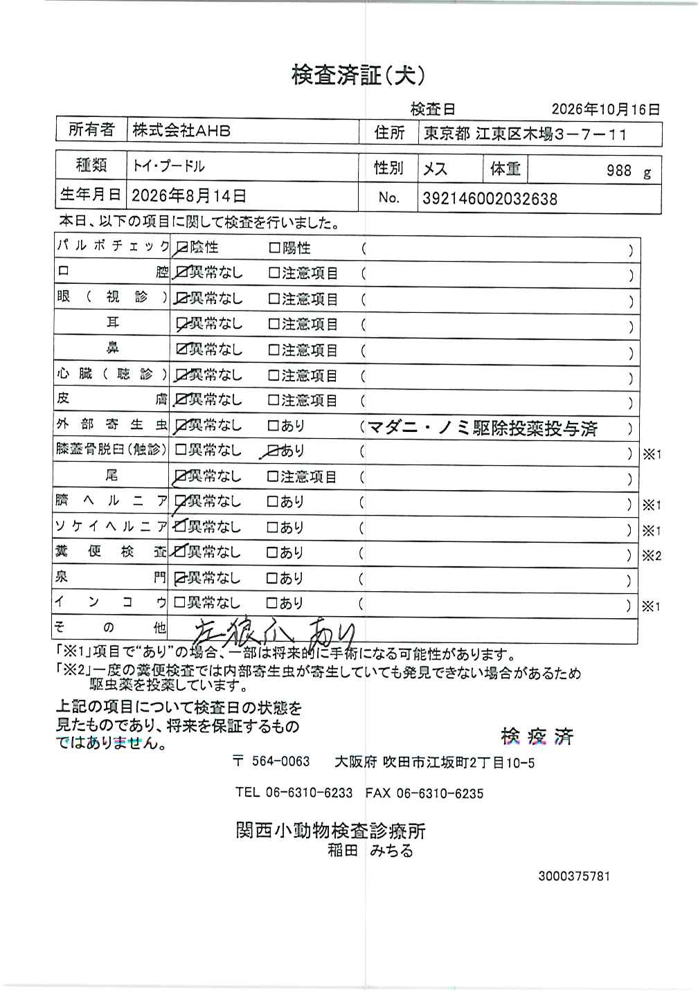 トイ・プードル
