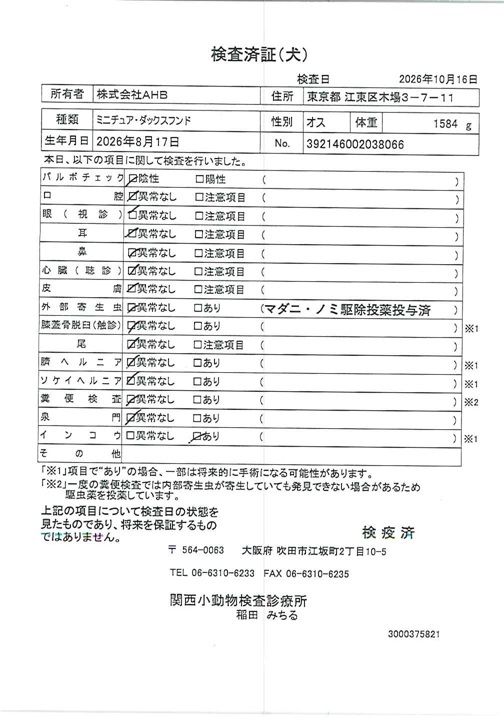 ミニチュア・ダックスフンド