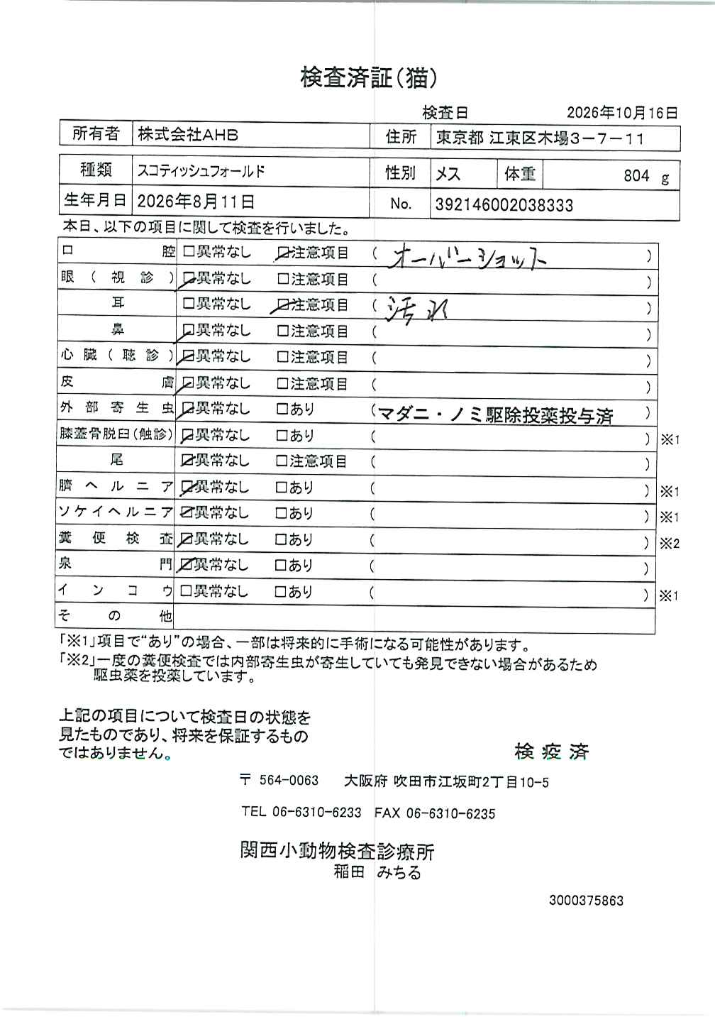 スコティッシュフォールド