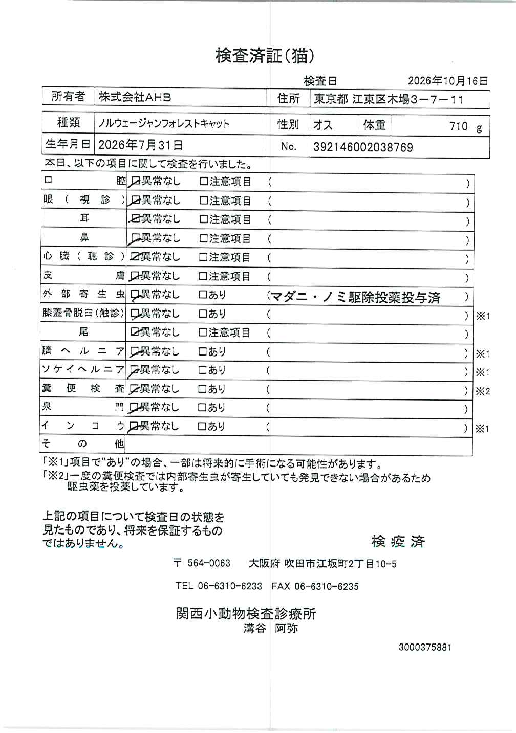 ノルウェージャンフォレストキャット