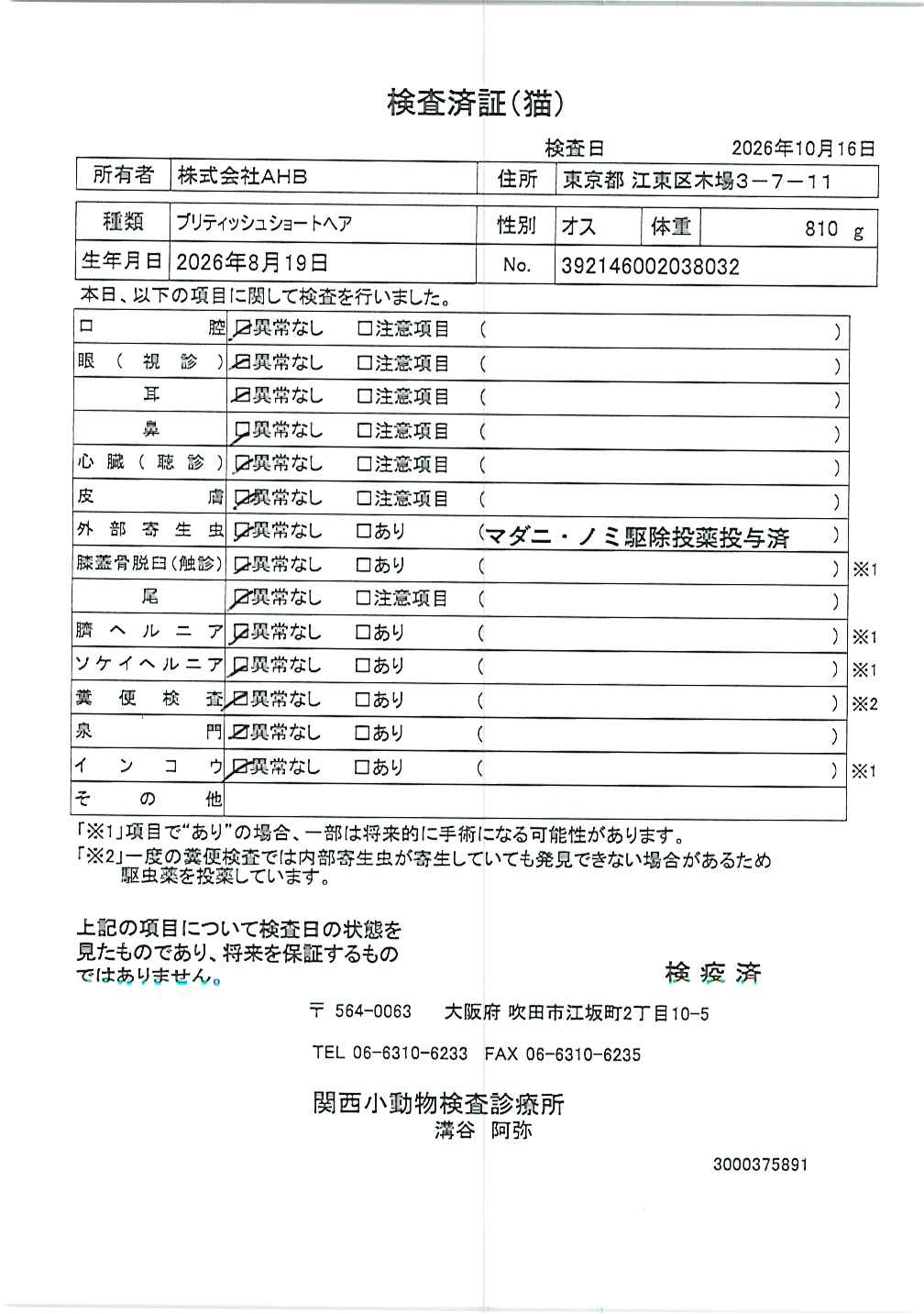 ブリティッシュショートヘア