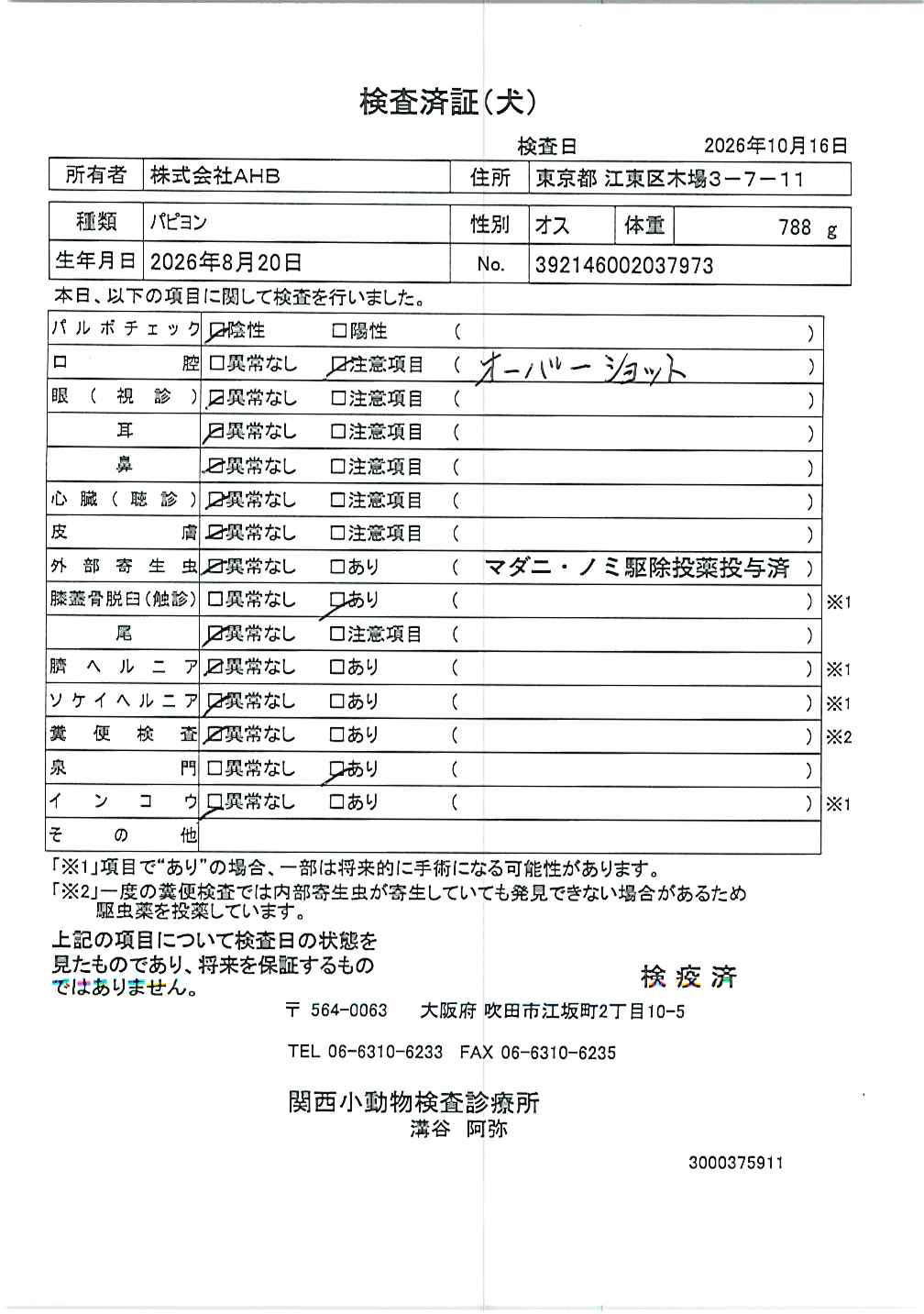 パピヨン
