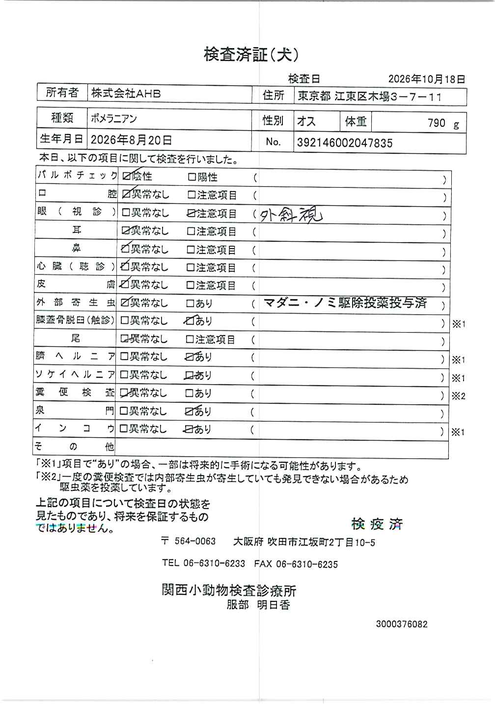 ポメラニアン