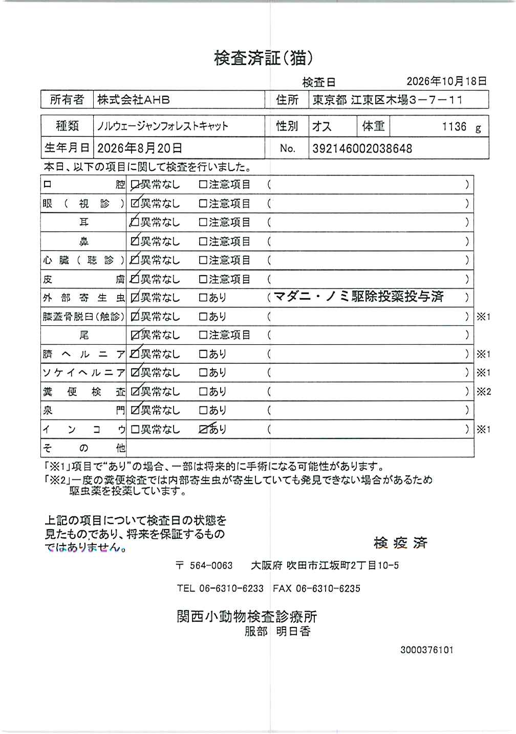 ノルウェージャンフォレストキャット