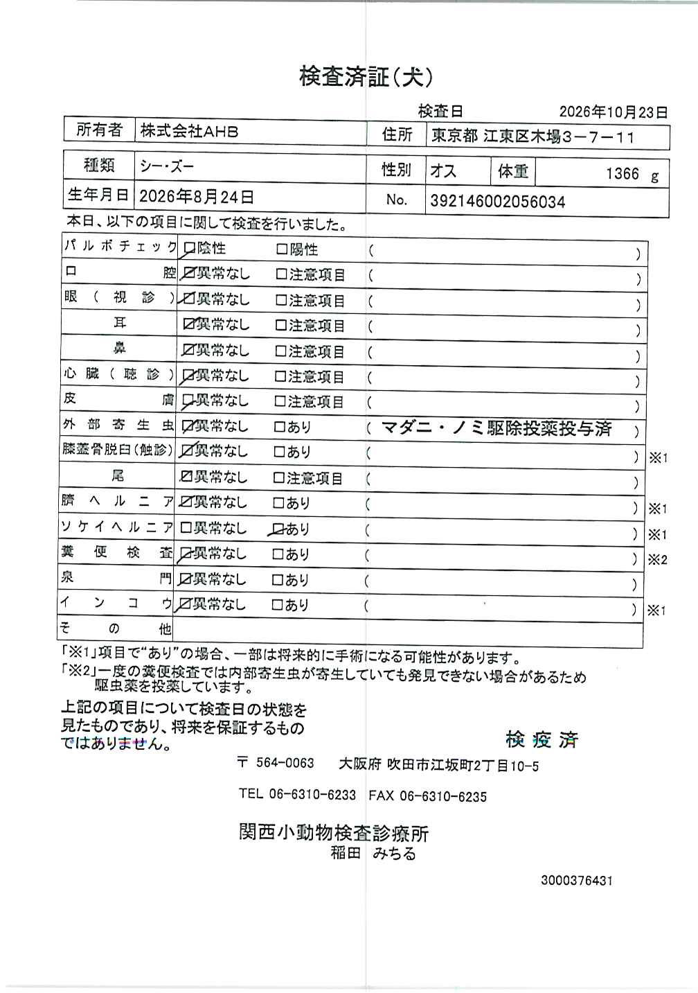 シー・ズー