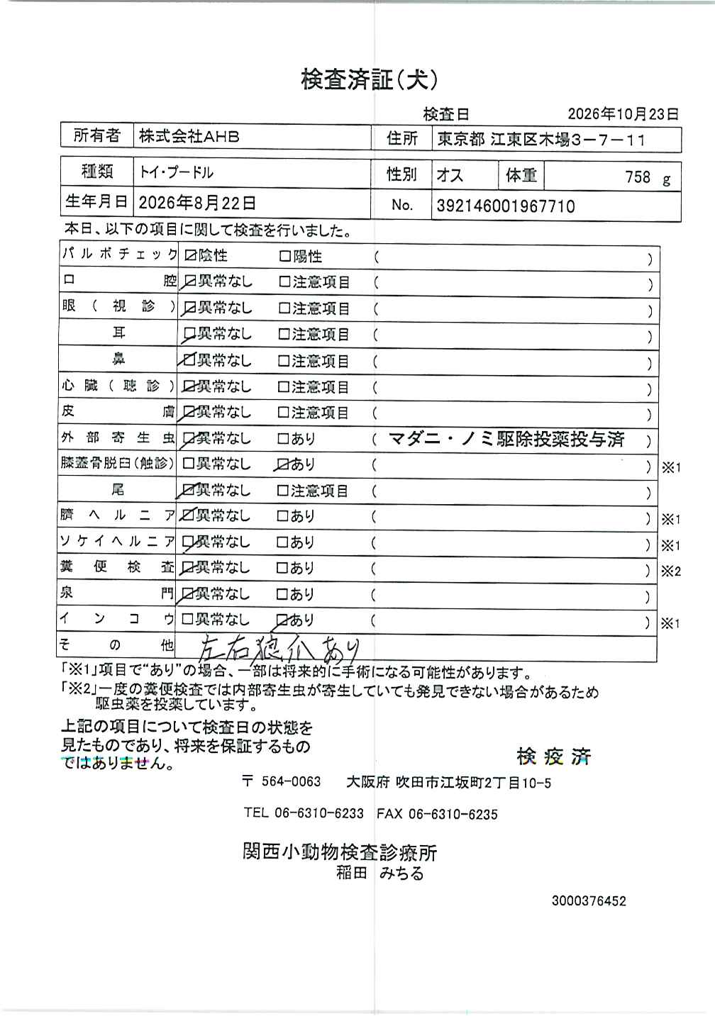 トイ・プードル