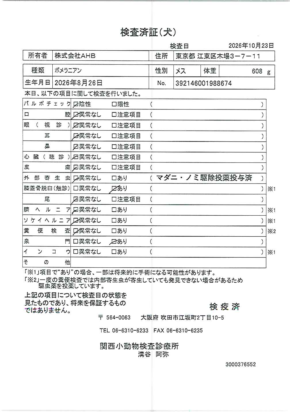 ポメラニアン