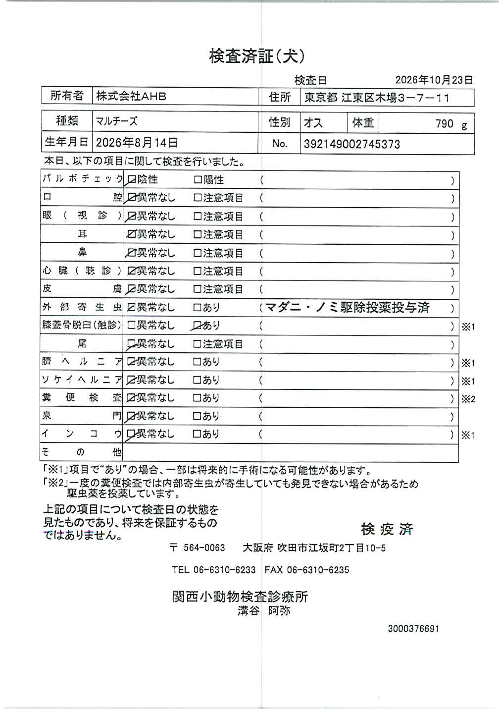 マルチーズ