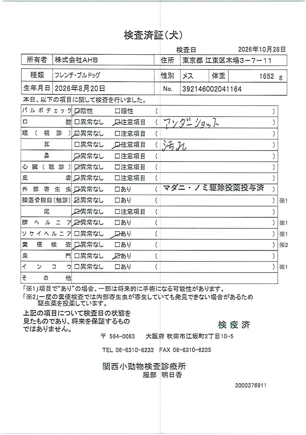 フレンチ・ブルドッグ