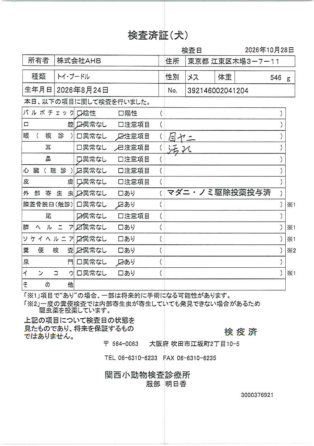 トイ・プードル