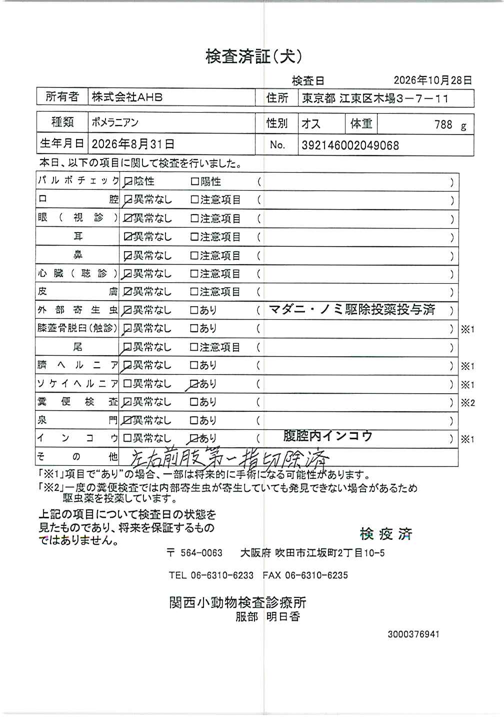 ポメラニアン