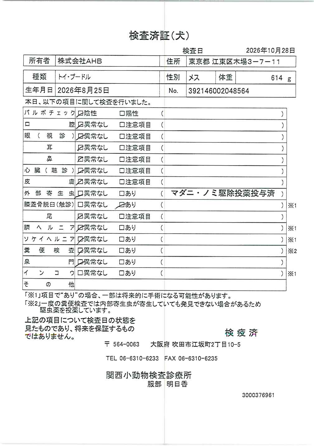 トイ・プードル