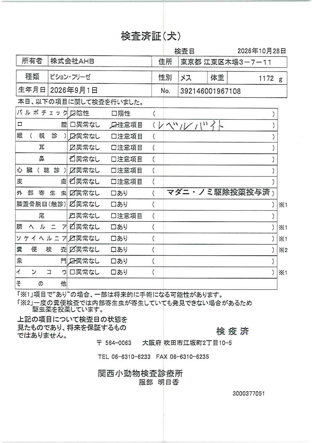 ビション・フリーゼ
