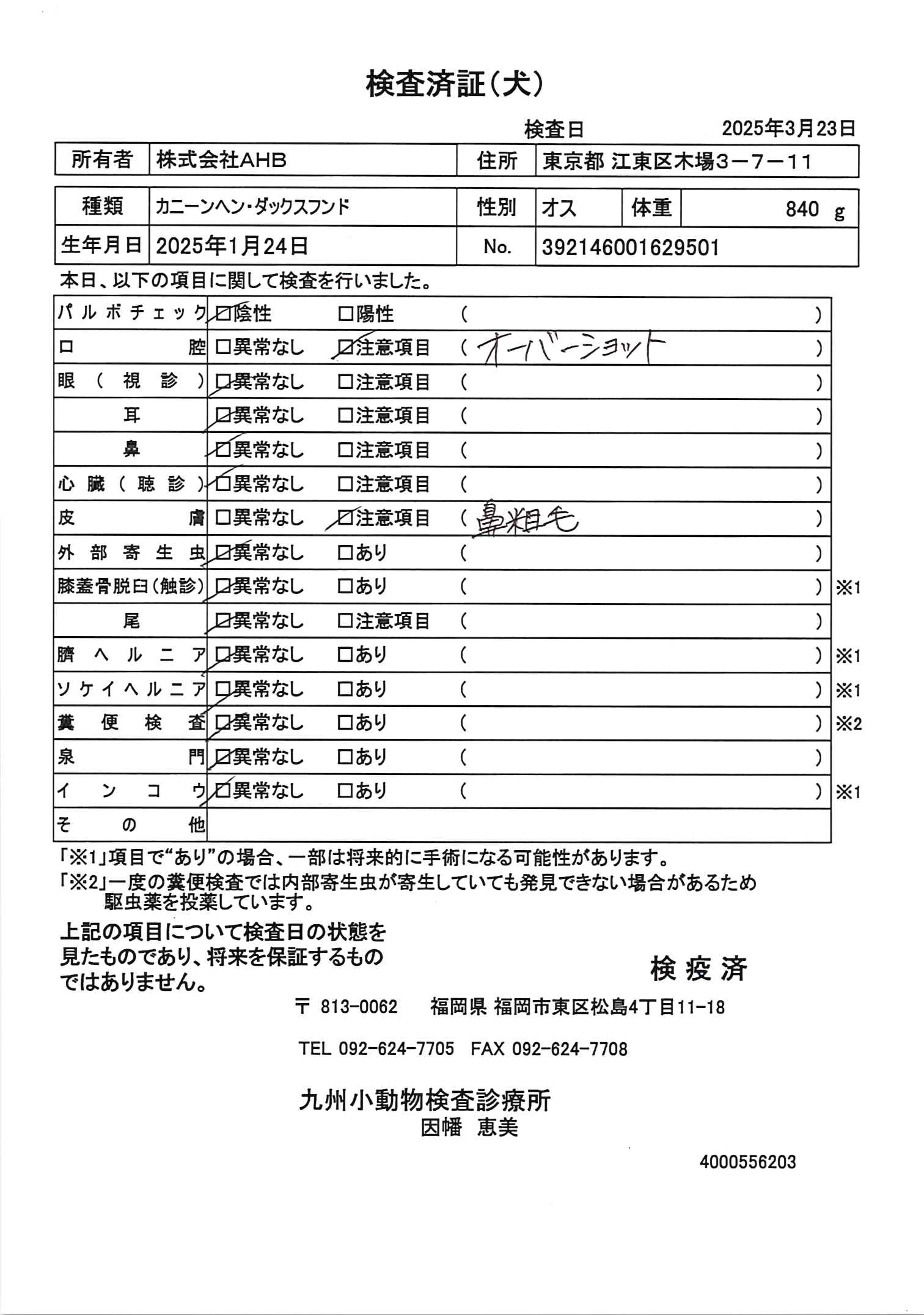 カニーンヘン・ダックスフンド