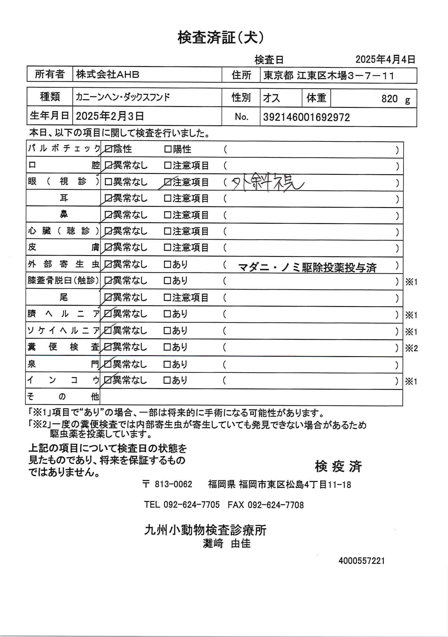 カニーンヘン・ダックスフンド