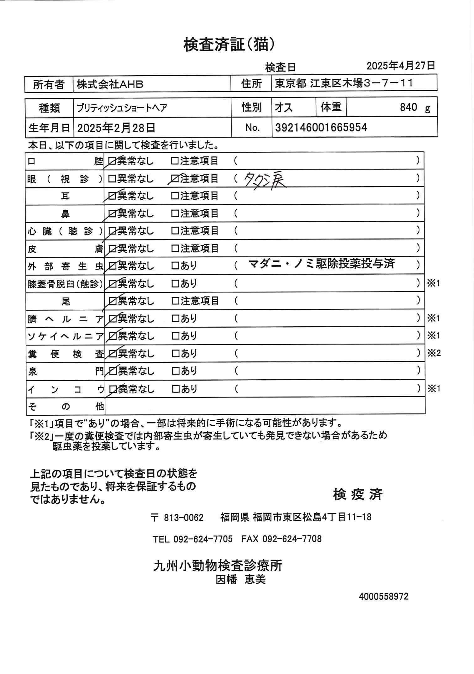 ブリティッシュショートヘア