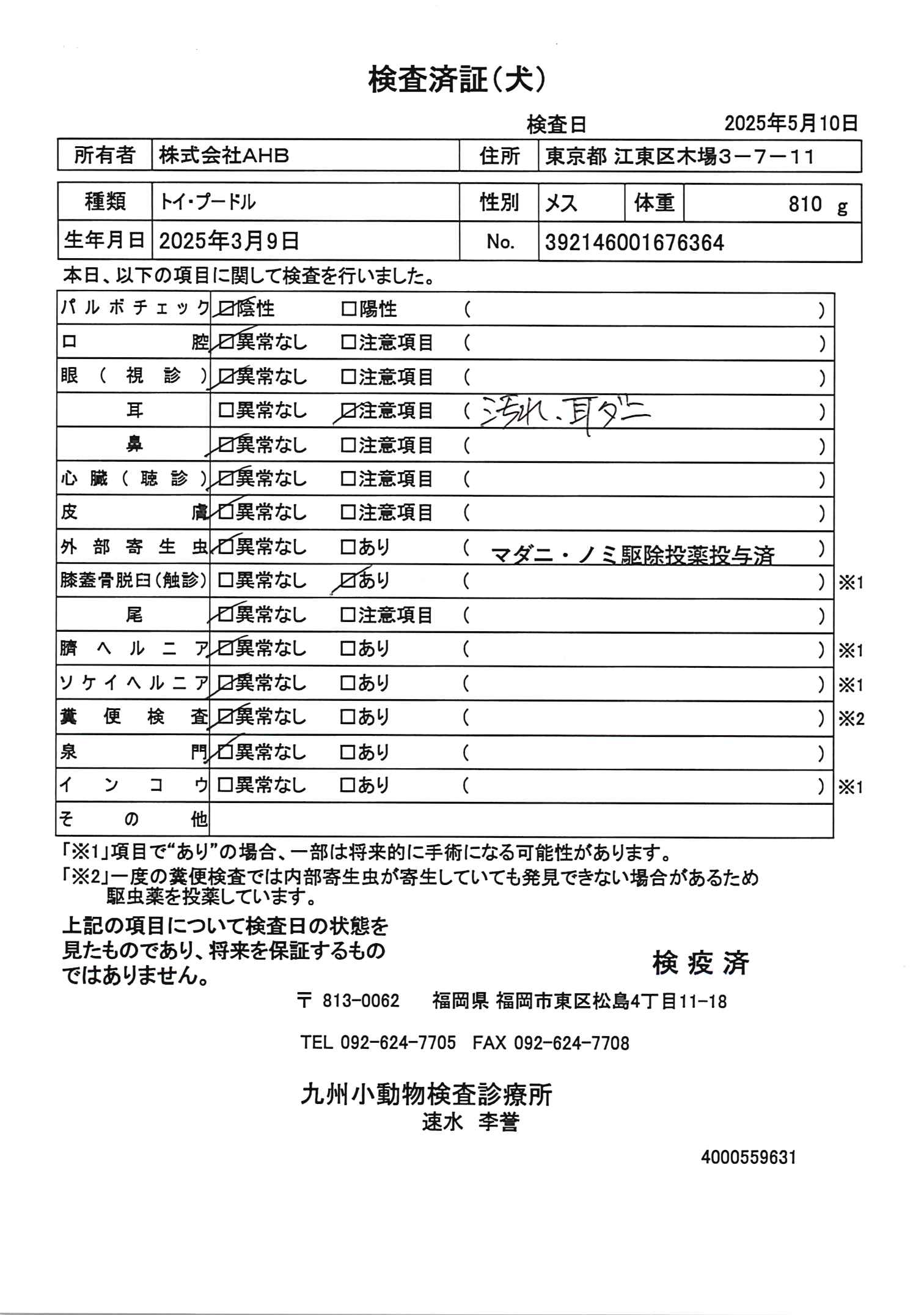トイ・プードル