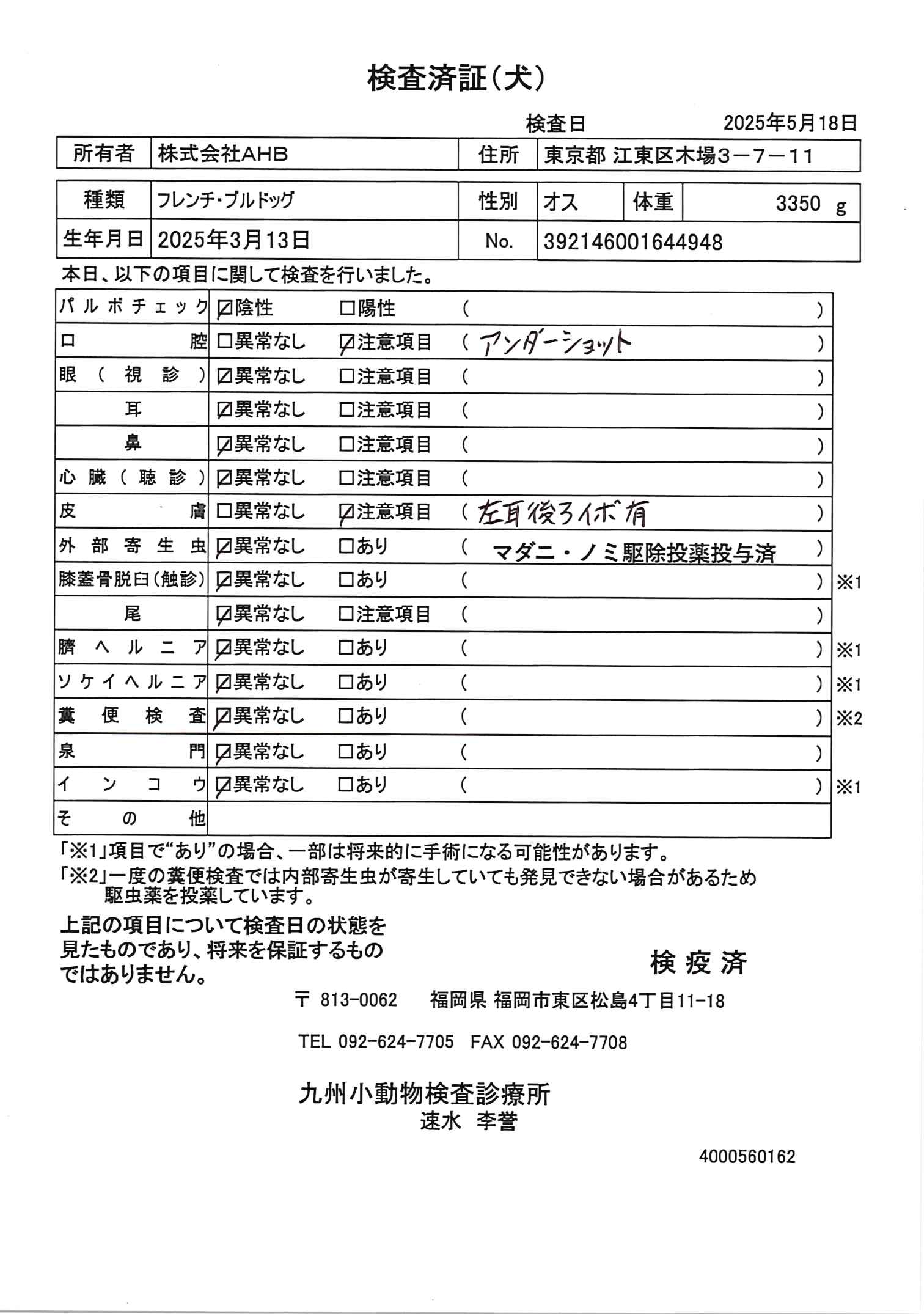フレンチ・ブルドッグ