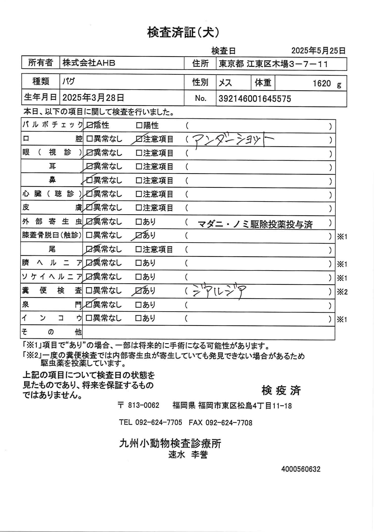 パグ