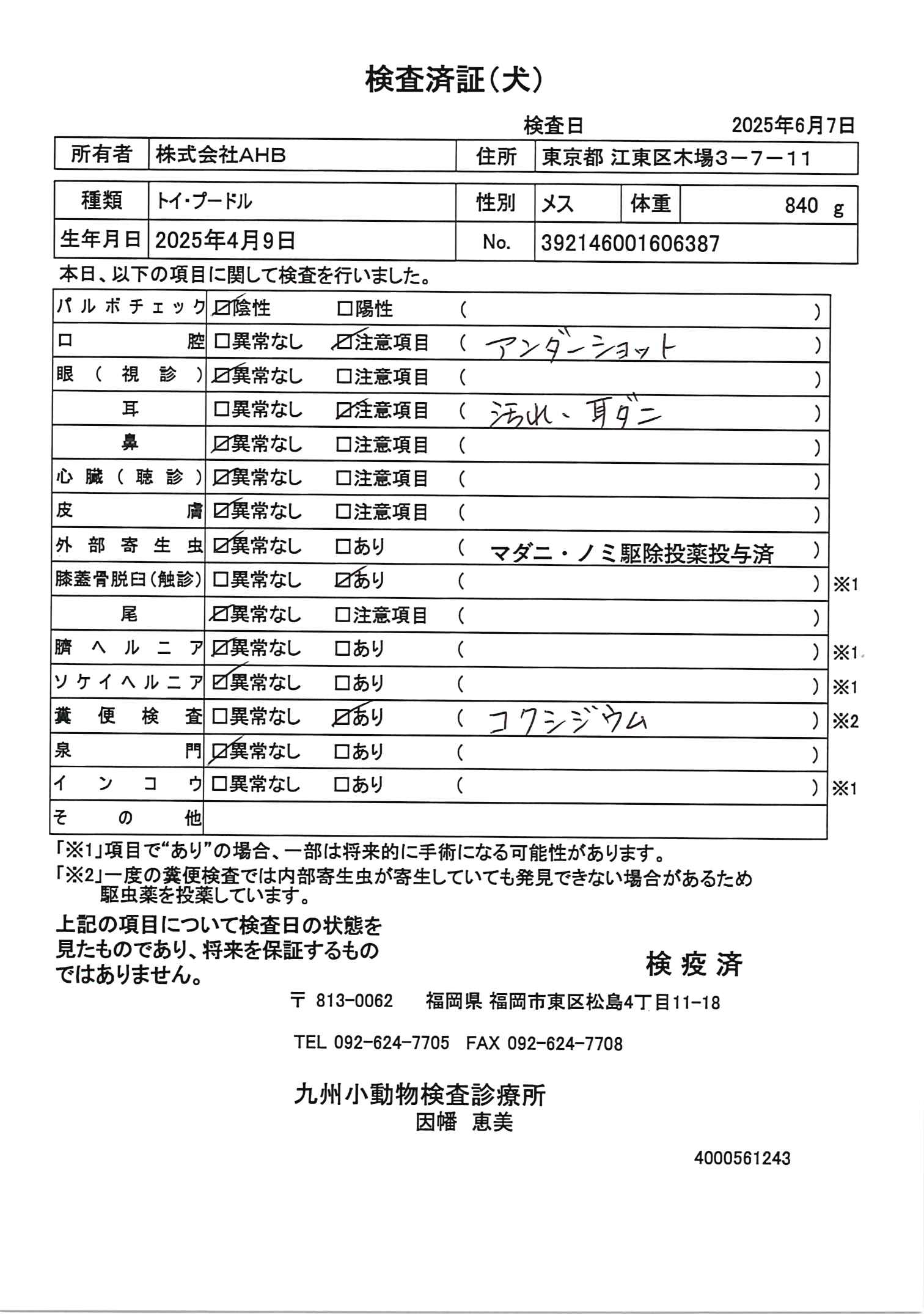トイ・プードル
