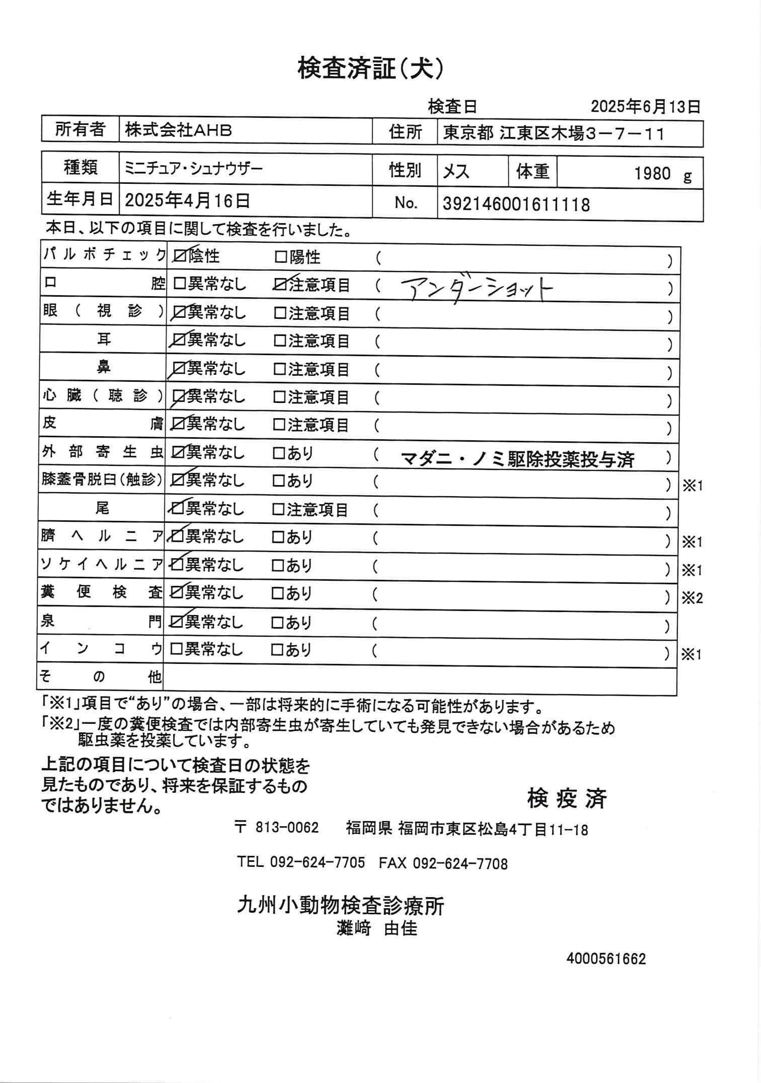 ミニチュア・シュナウザー