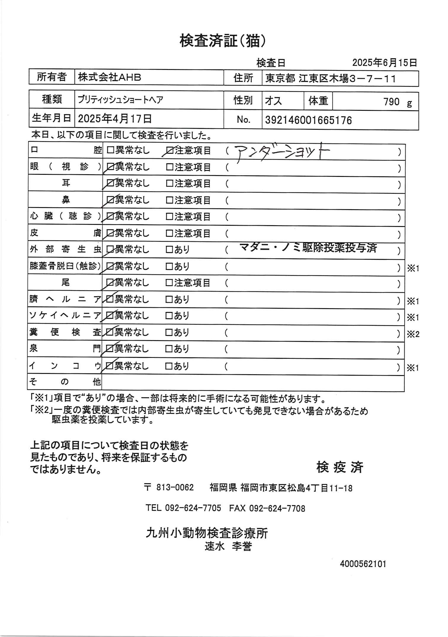 ブリティッシュショートヘア