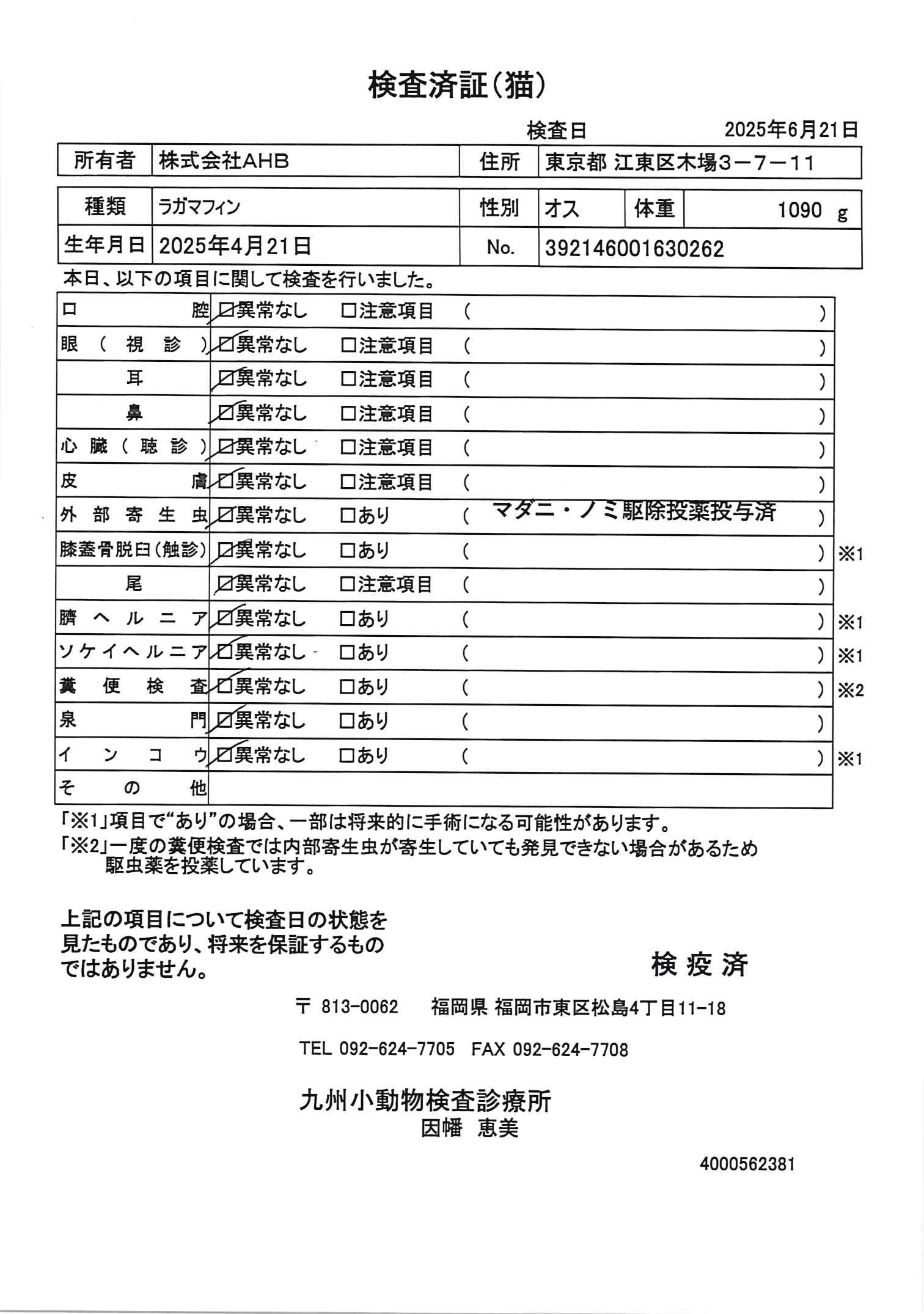 ラガマフィン