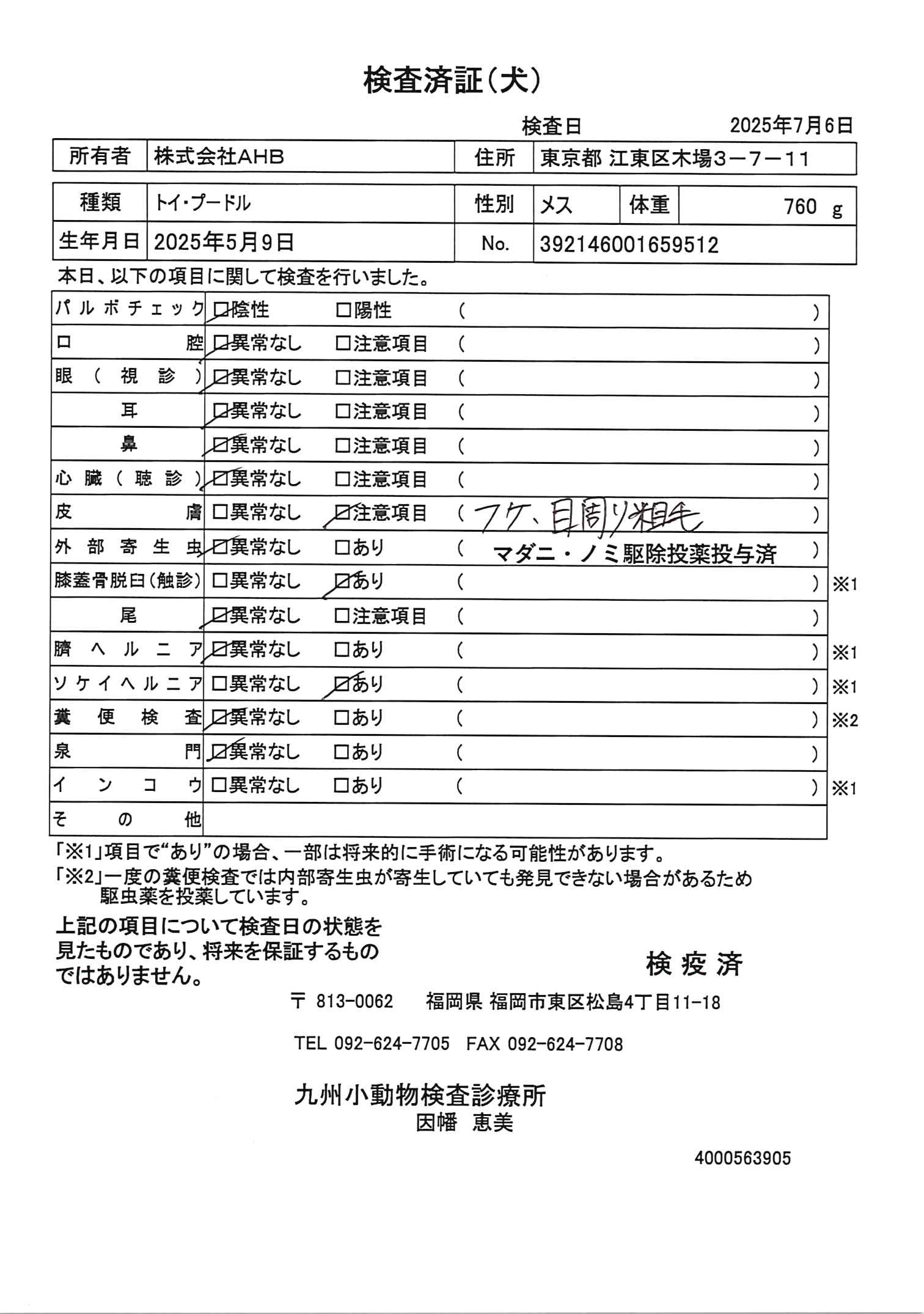トイ・プードル