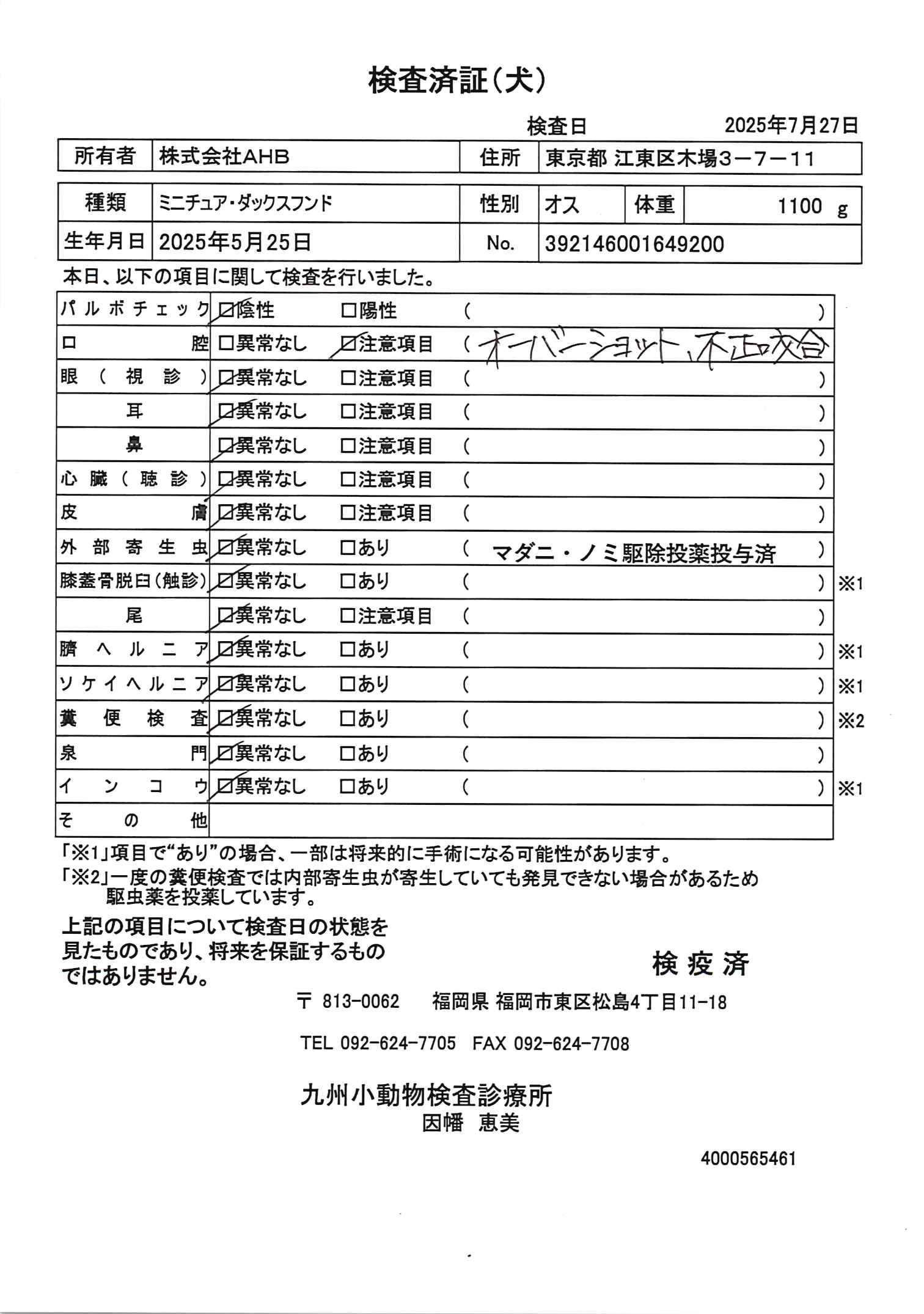 ミニチュア・ダックスフンド