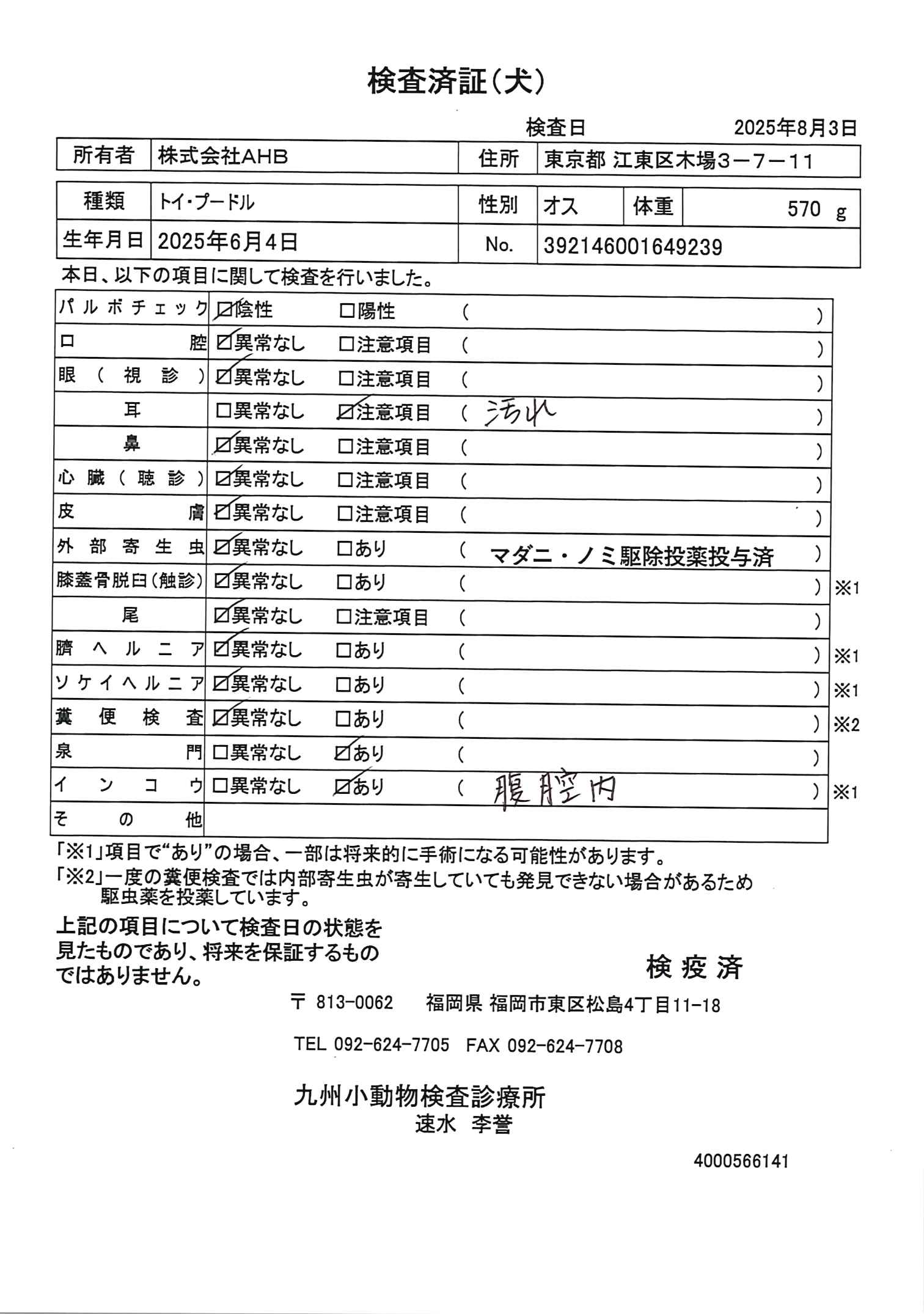 トイ・プードル