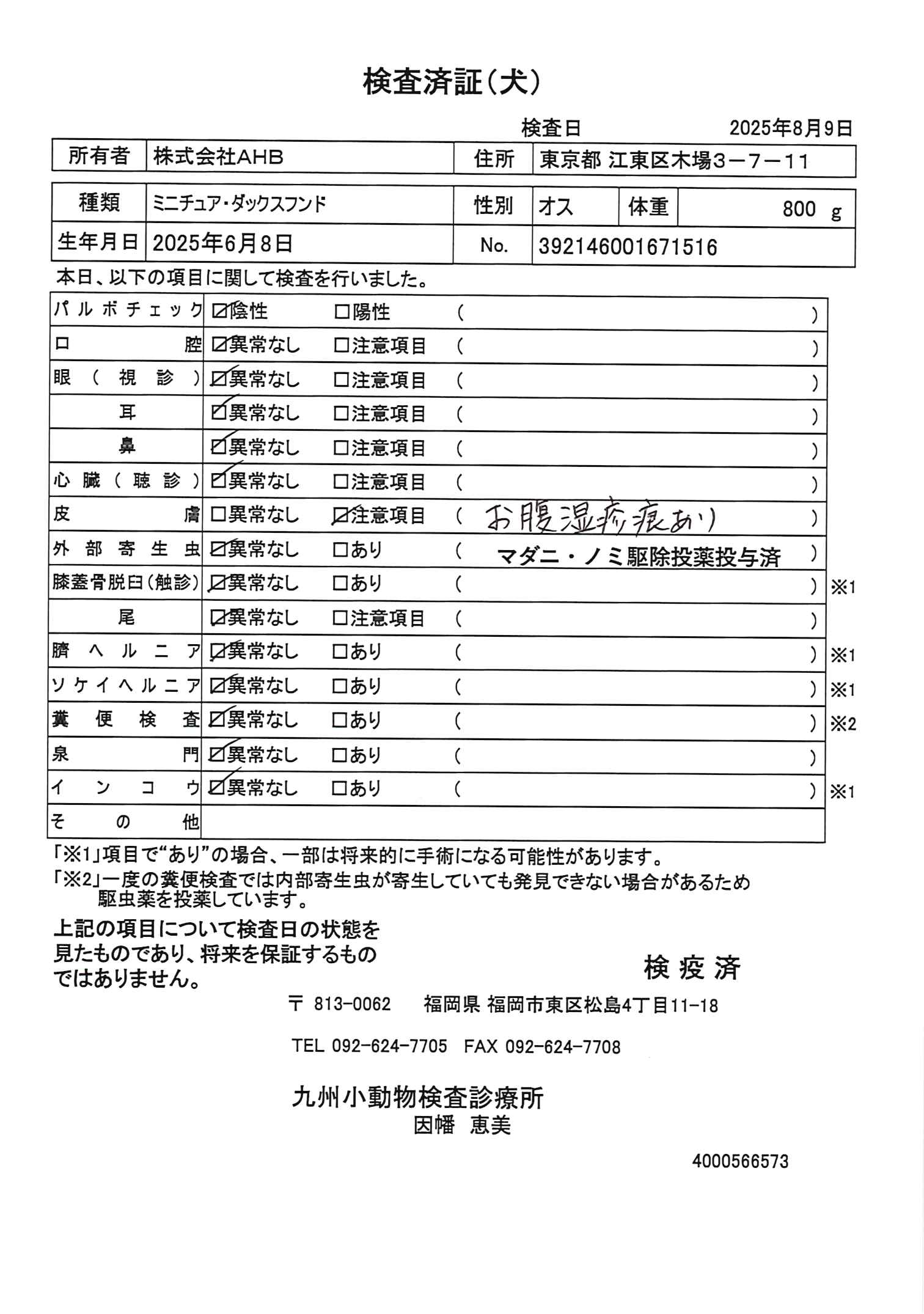 ミニチュア・ダックスフンド