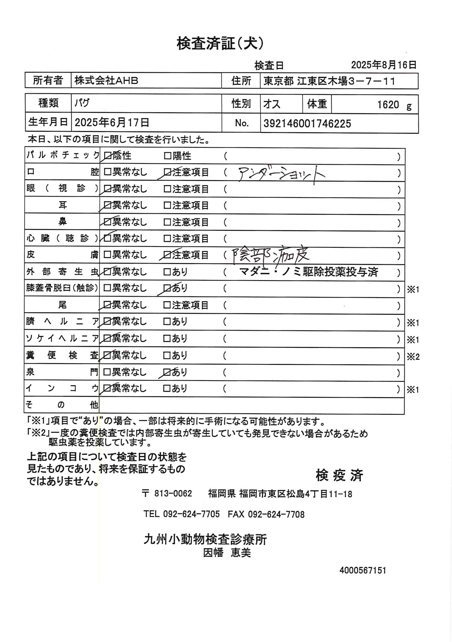 パグ