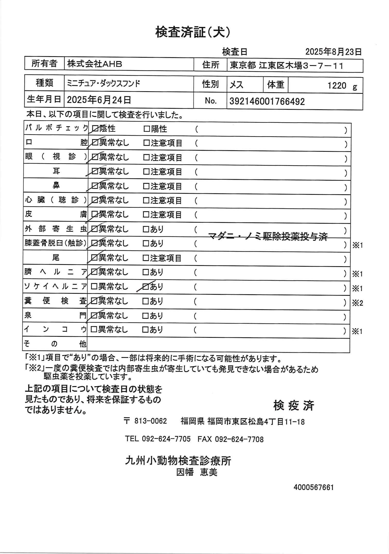 ミニチュア・ダックスフンド