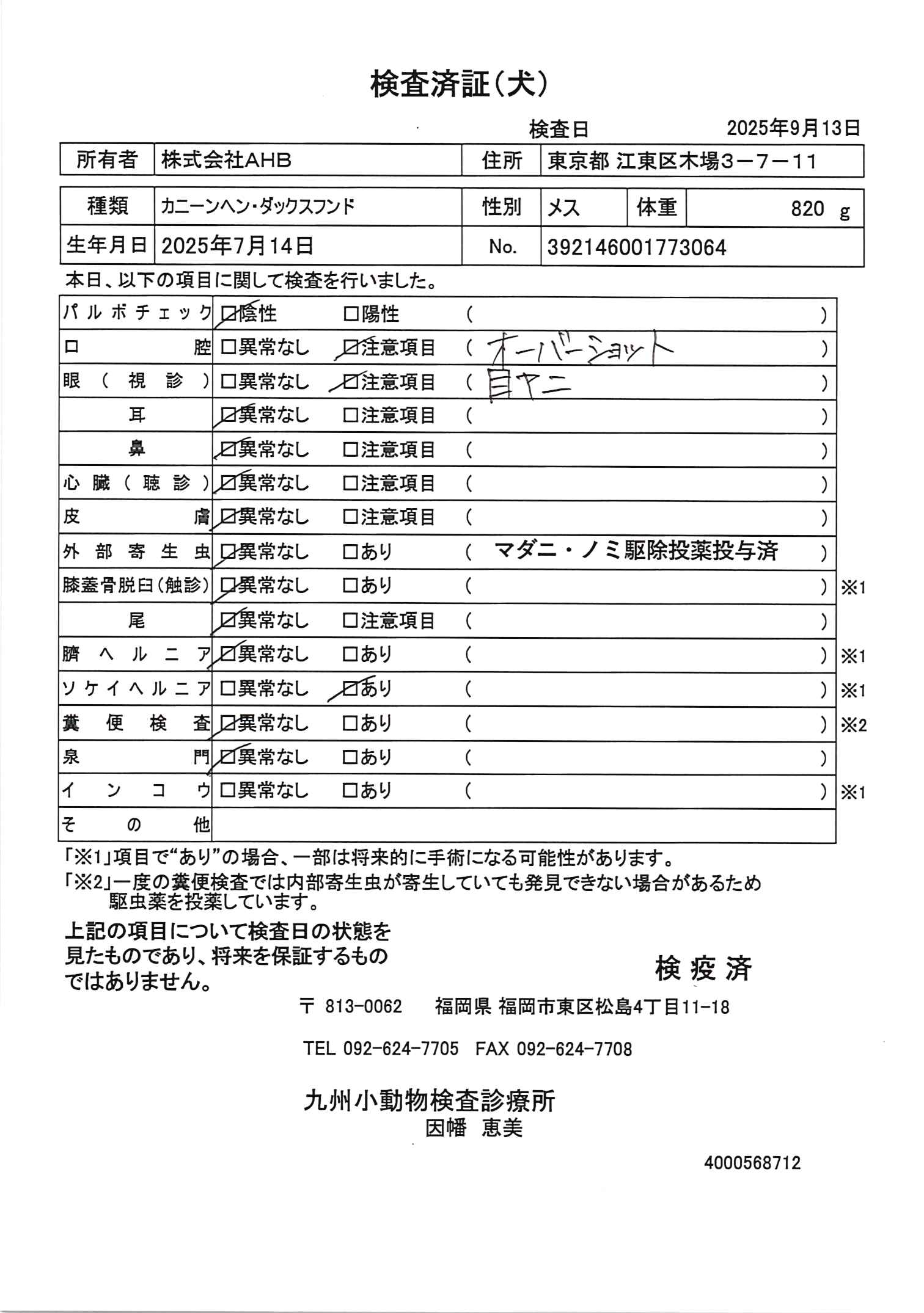 カニーンヘン・ダックスフンド