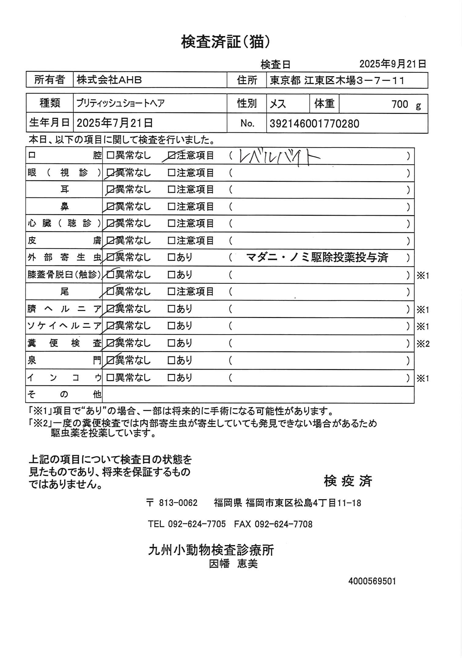 ブリティッシュショートヘア