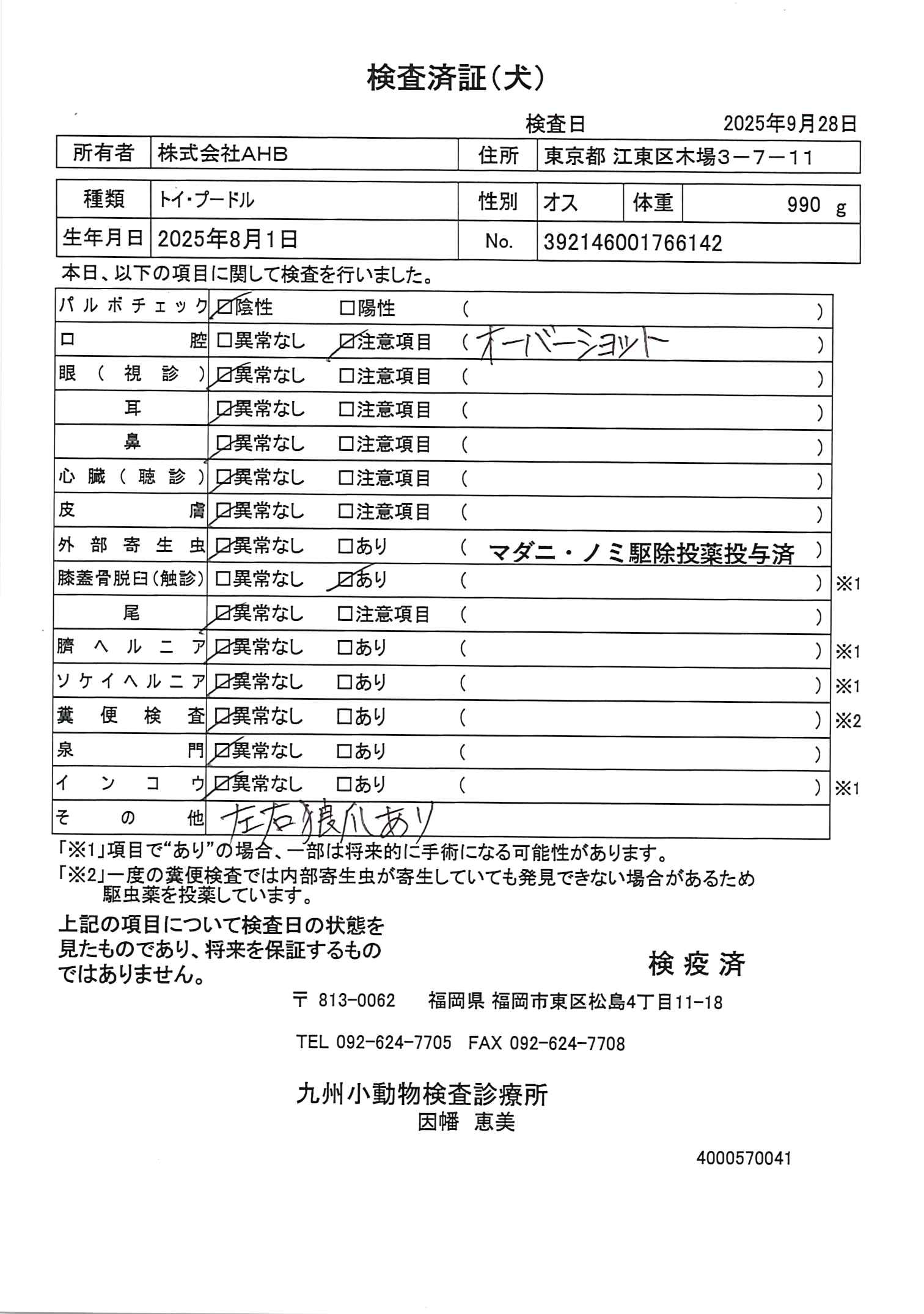 トイ・プードル