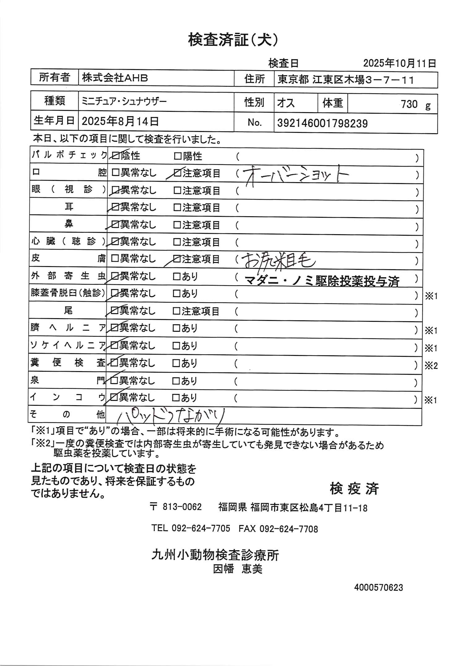 ミニチュア・シュナウザー