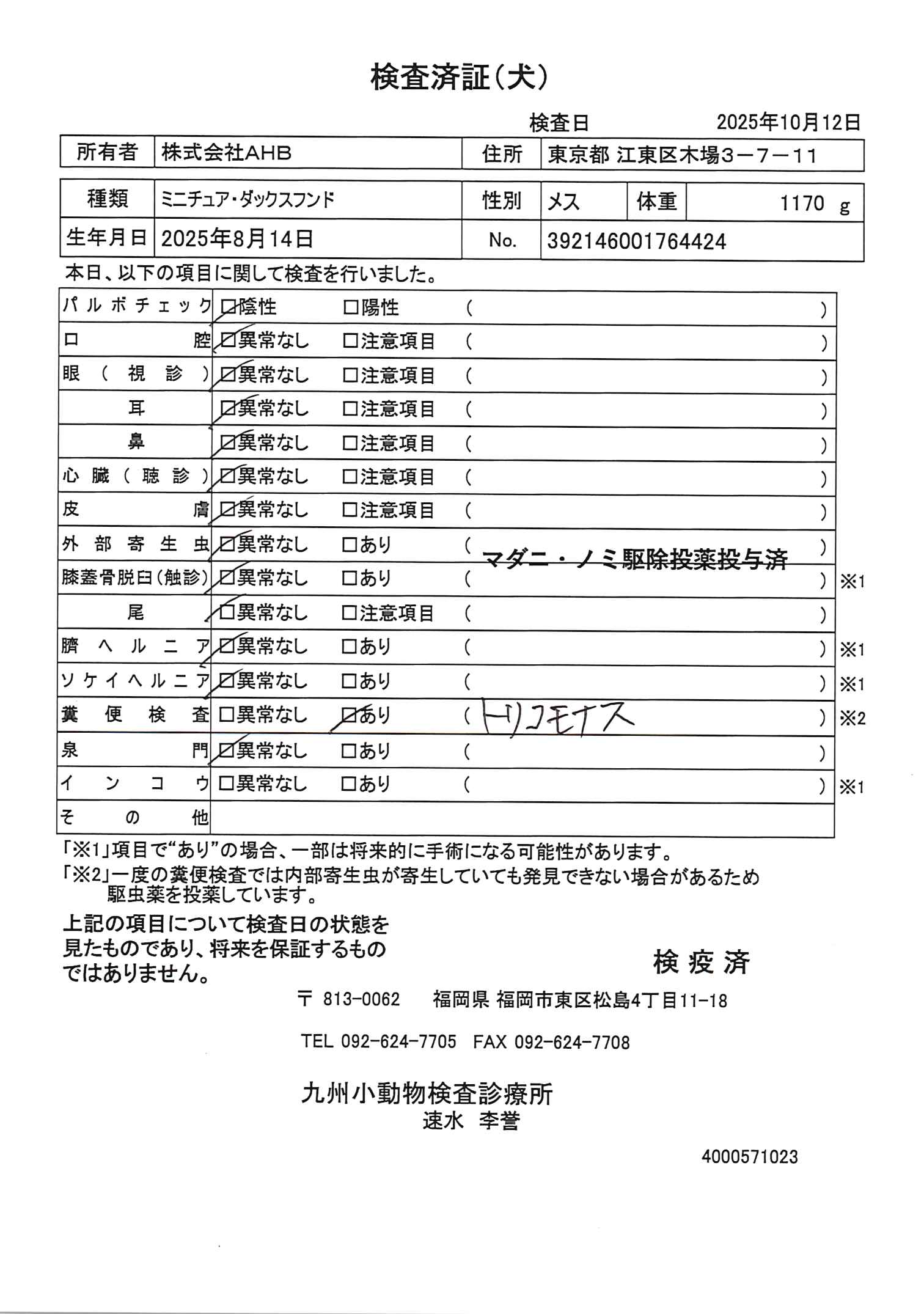 ミニチュア・ダックスフンド