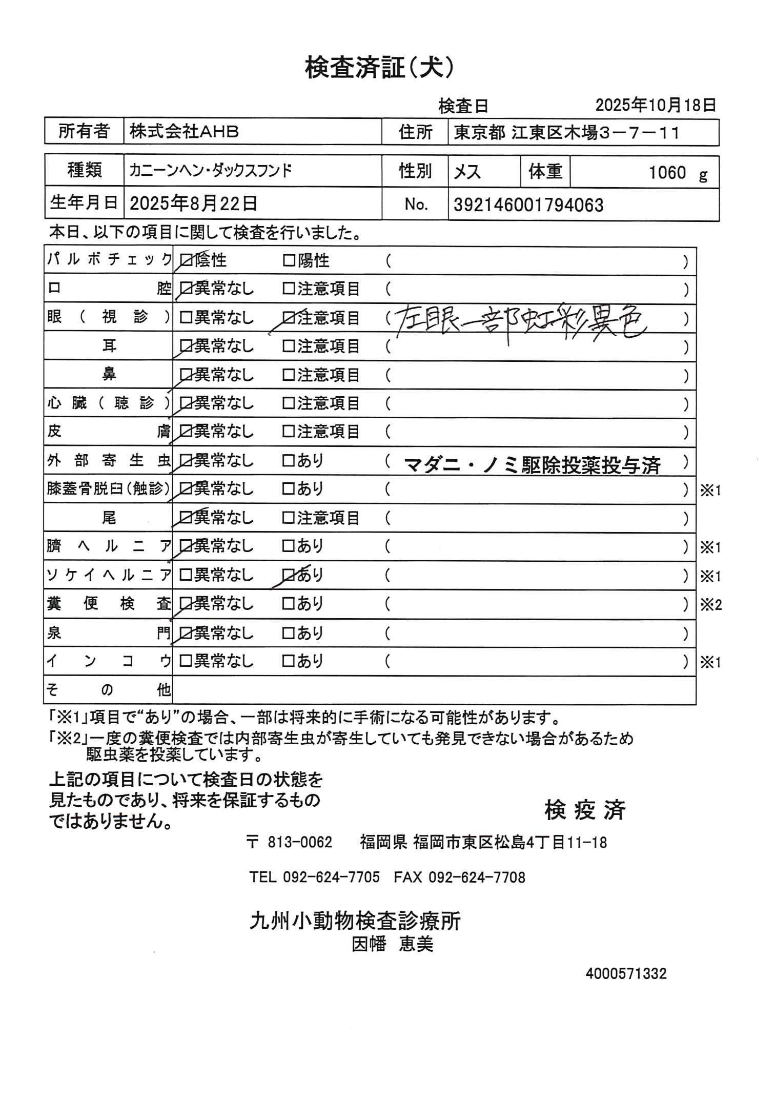 カニーンヘン・ダックスフンド