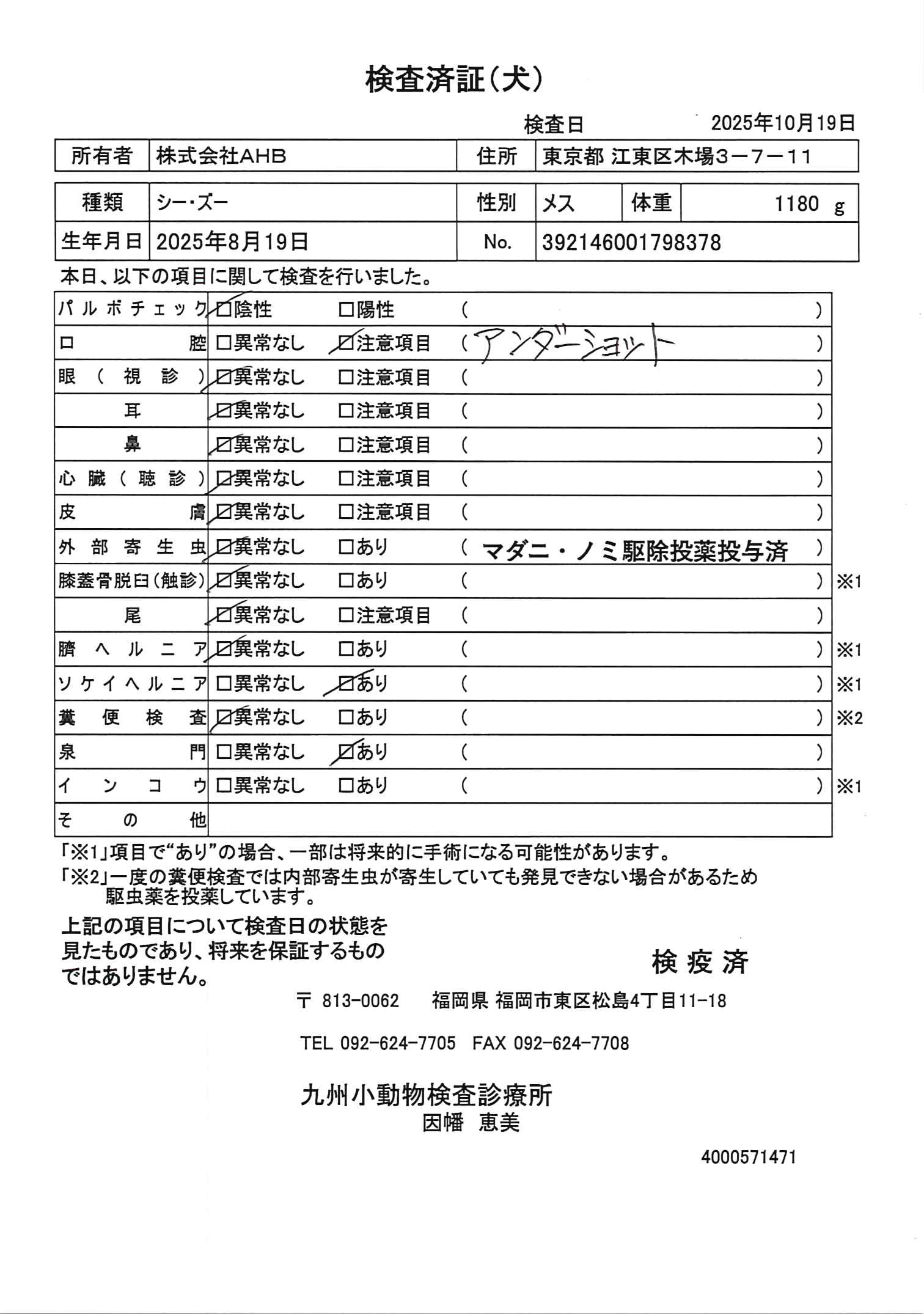 シー・ズー