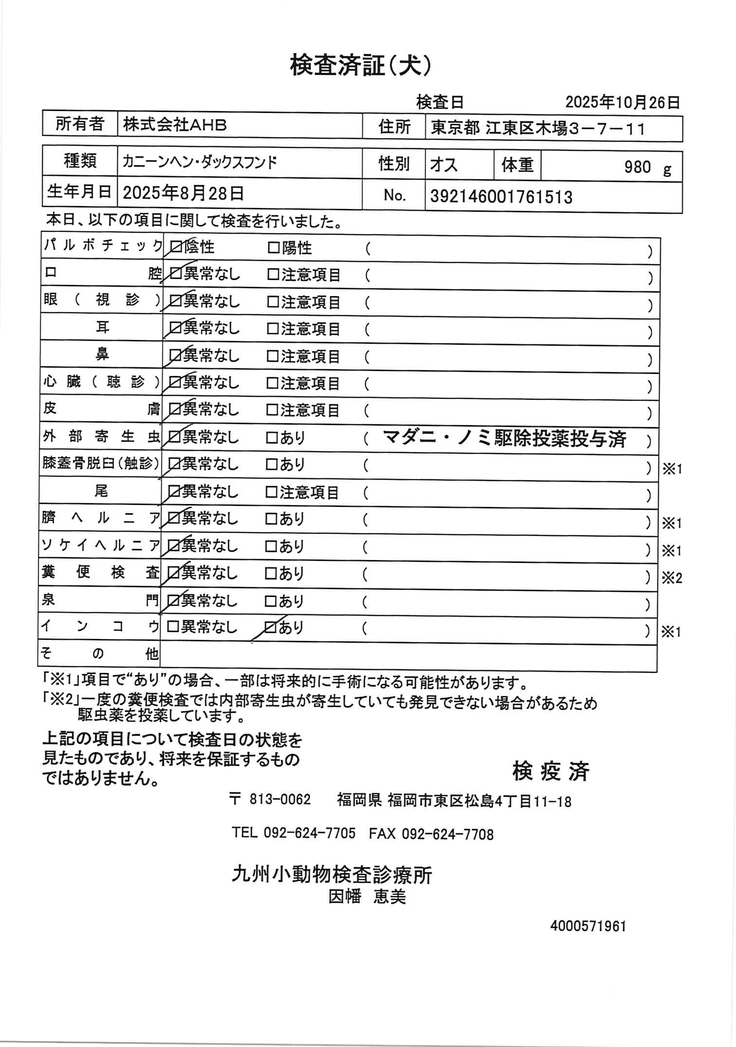 カニーンヘン・ダックスフンド