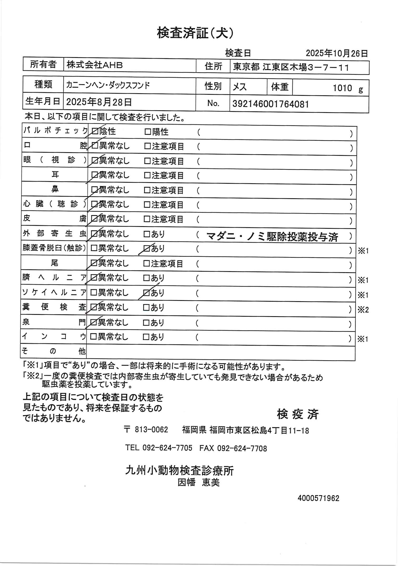 カニーンヘン・ダックスフンド