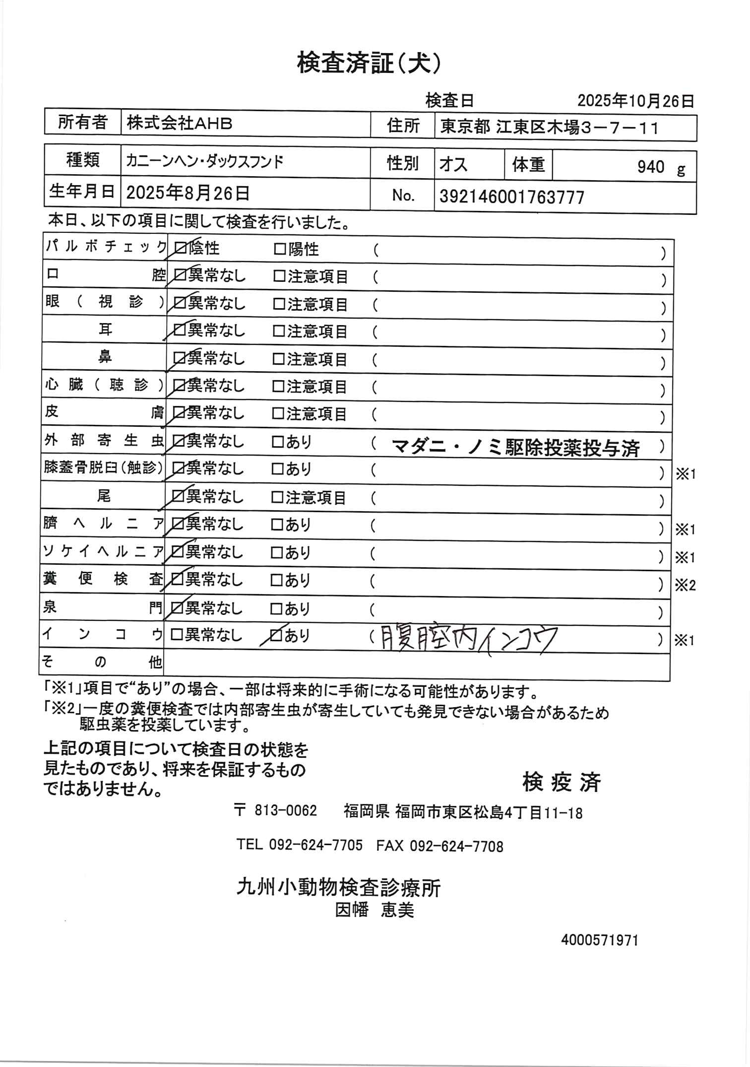 カニーンヘン・ダックスフンド