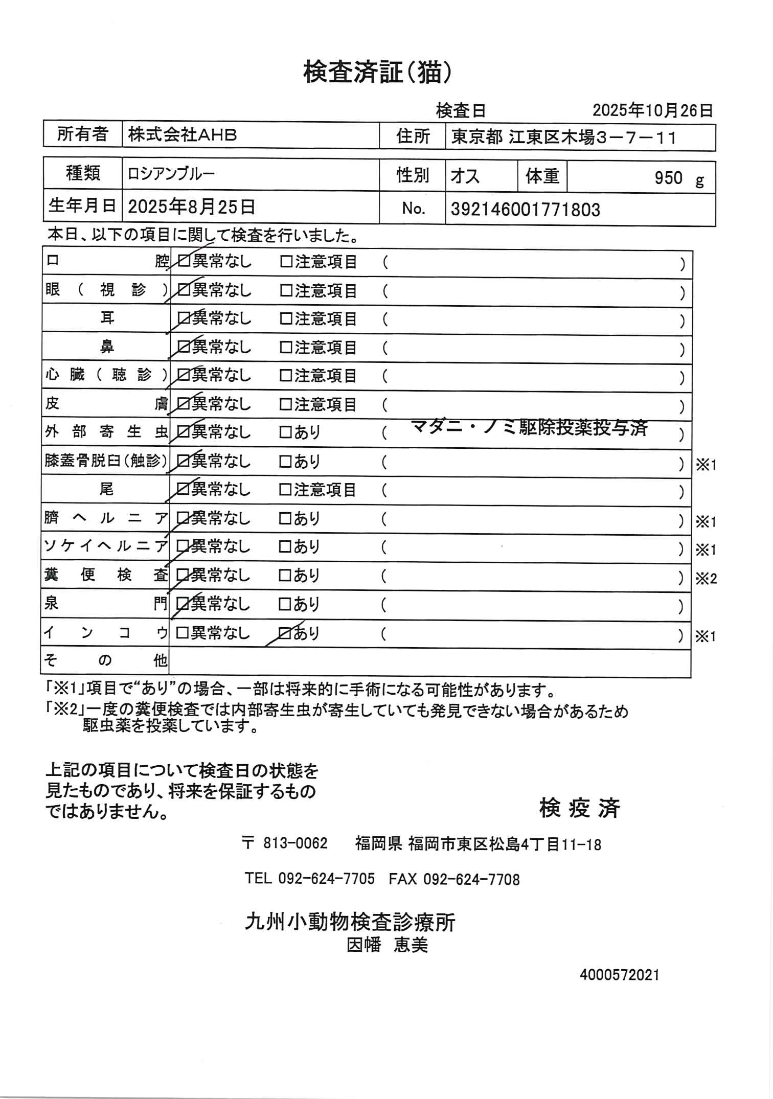 ロシアンブルー