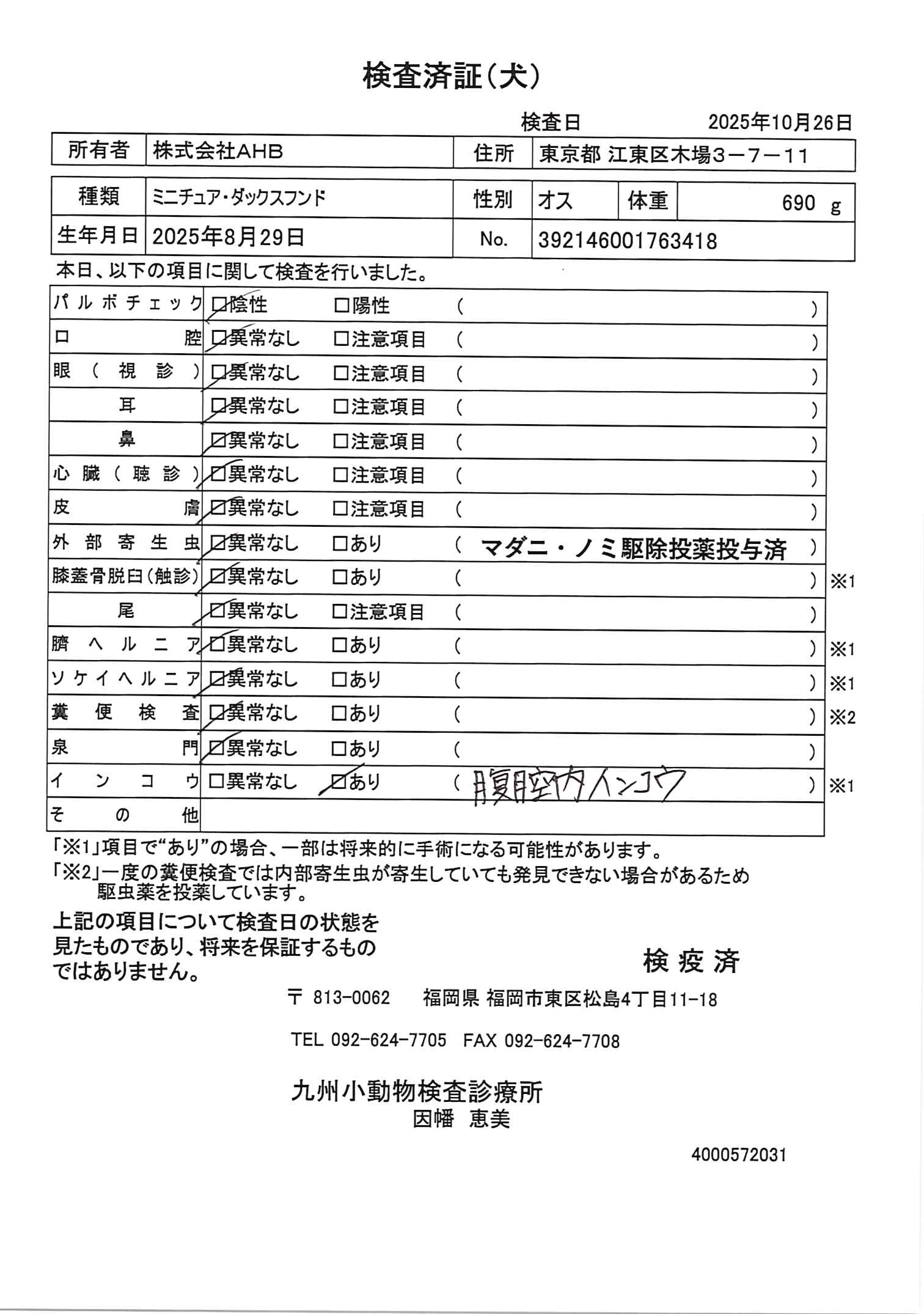 ミニチュア・ダックスフンド