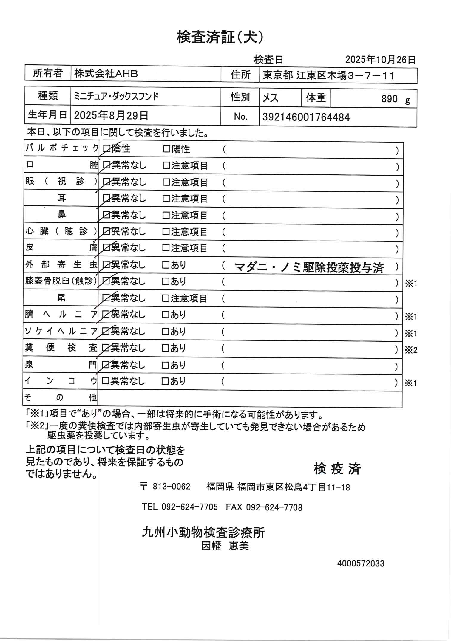 ミニチュア・ダックスフンド