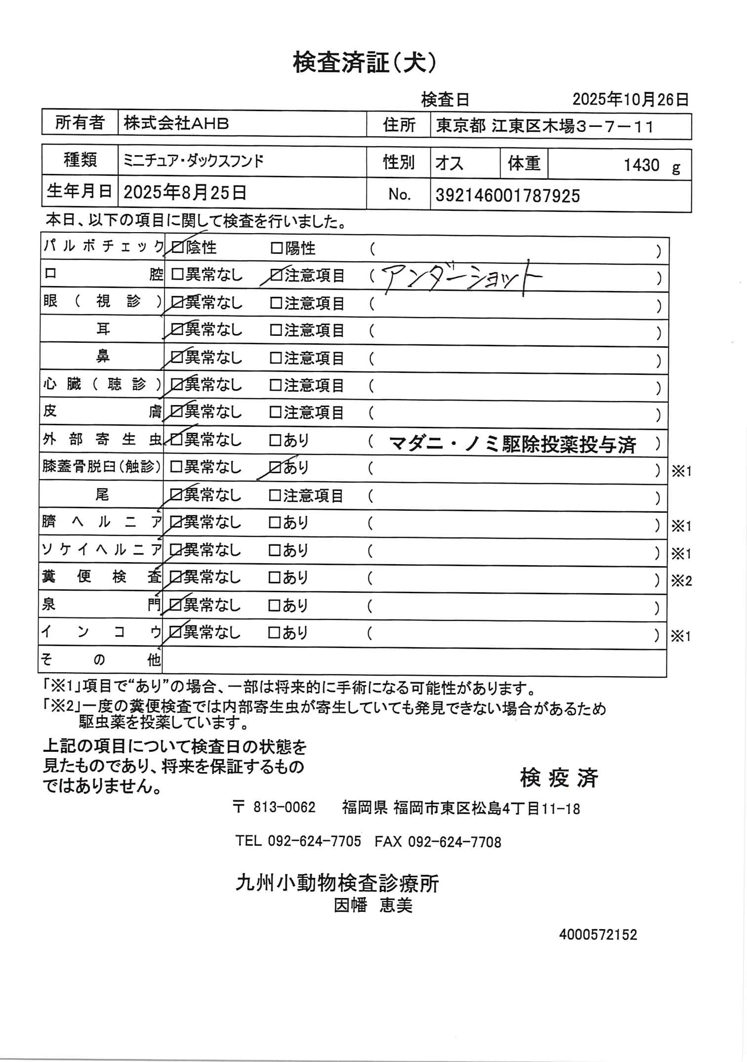 ミニチュア・ダックスフンド