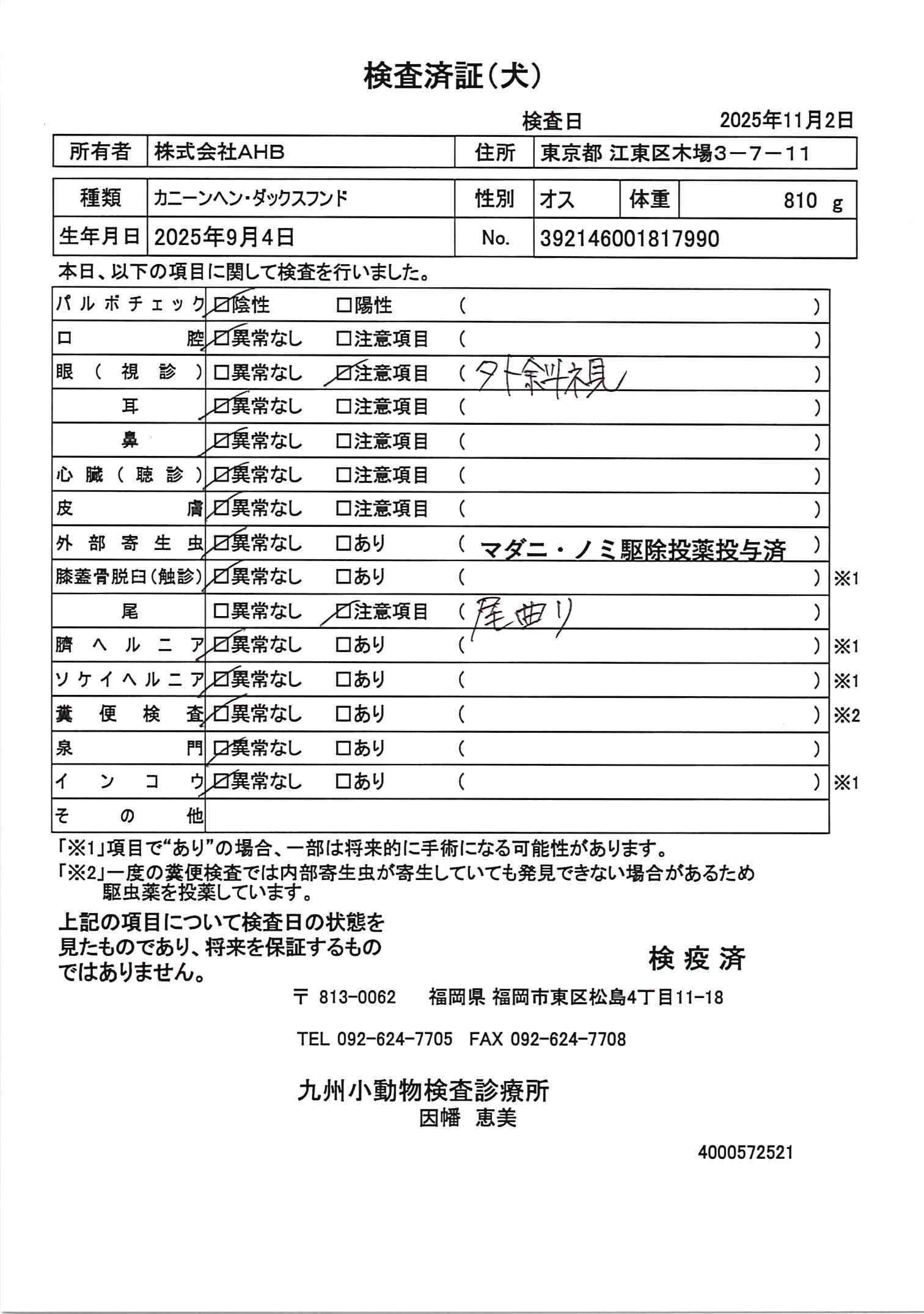 カニーンヘン・ダックスフンド