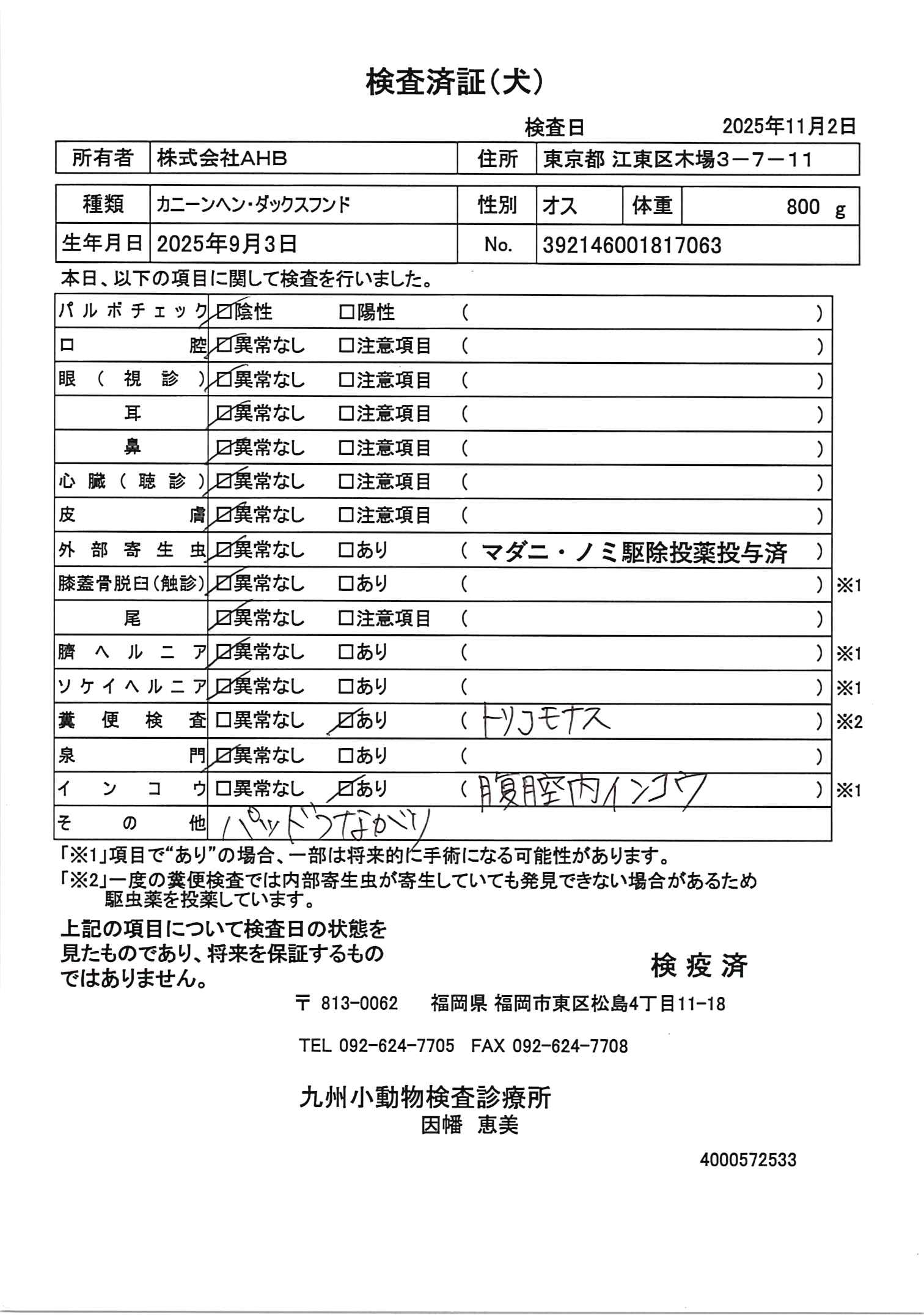 カニーンヘン・ダックスフンド